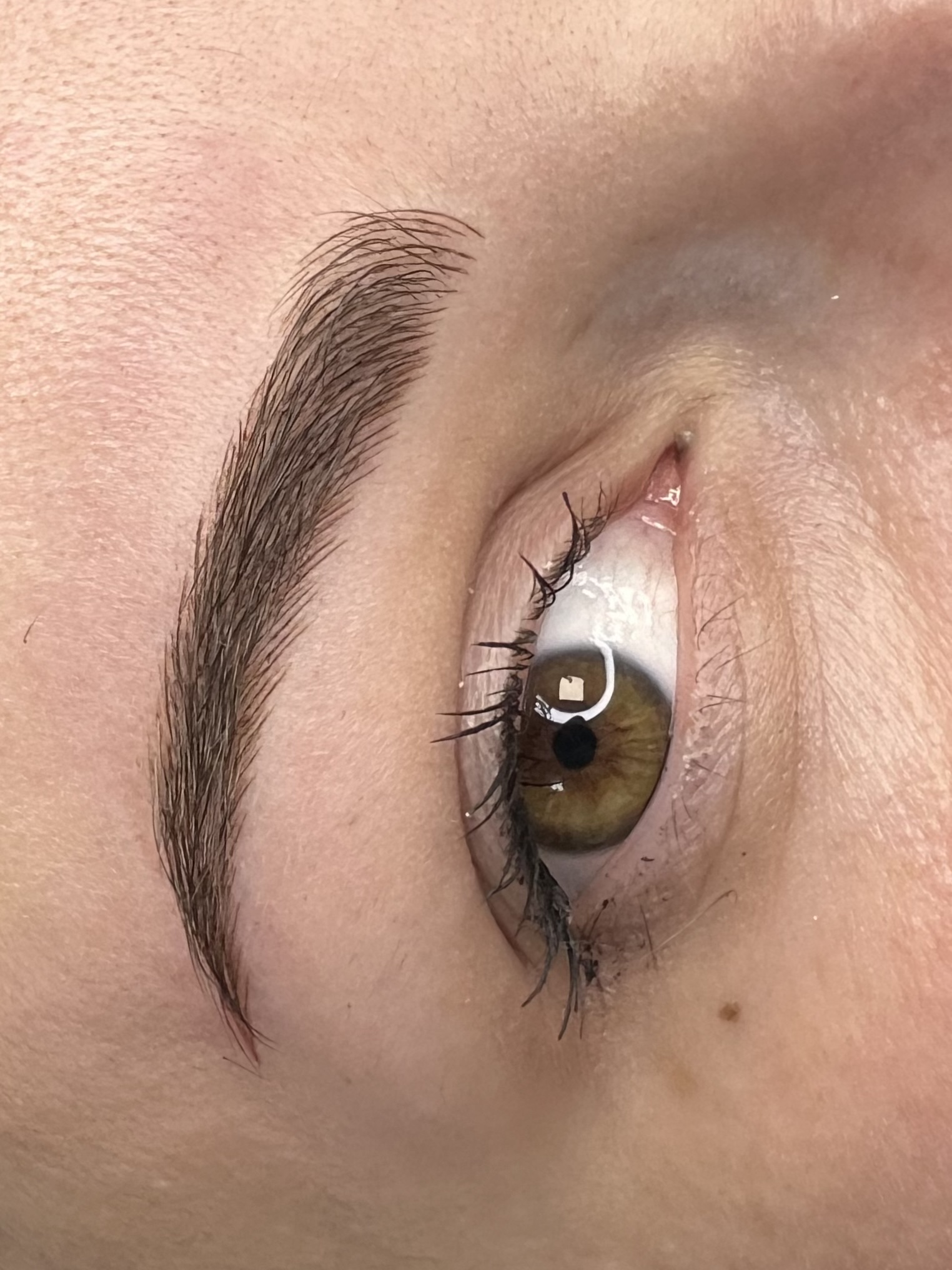Wanda Brows