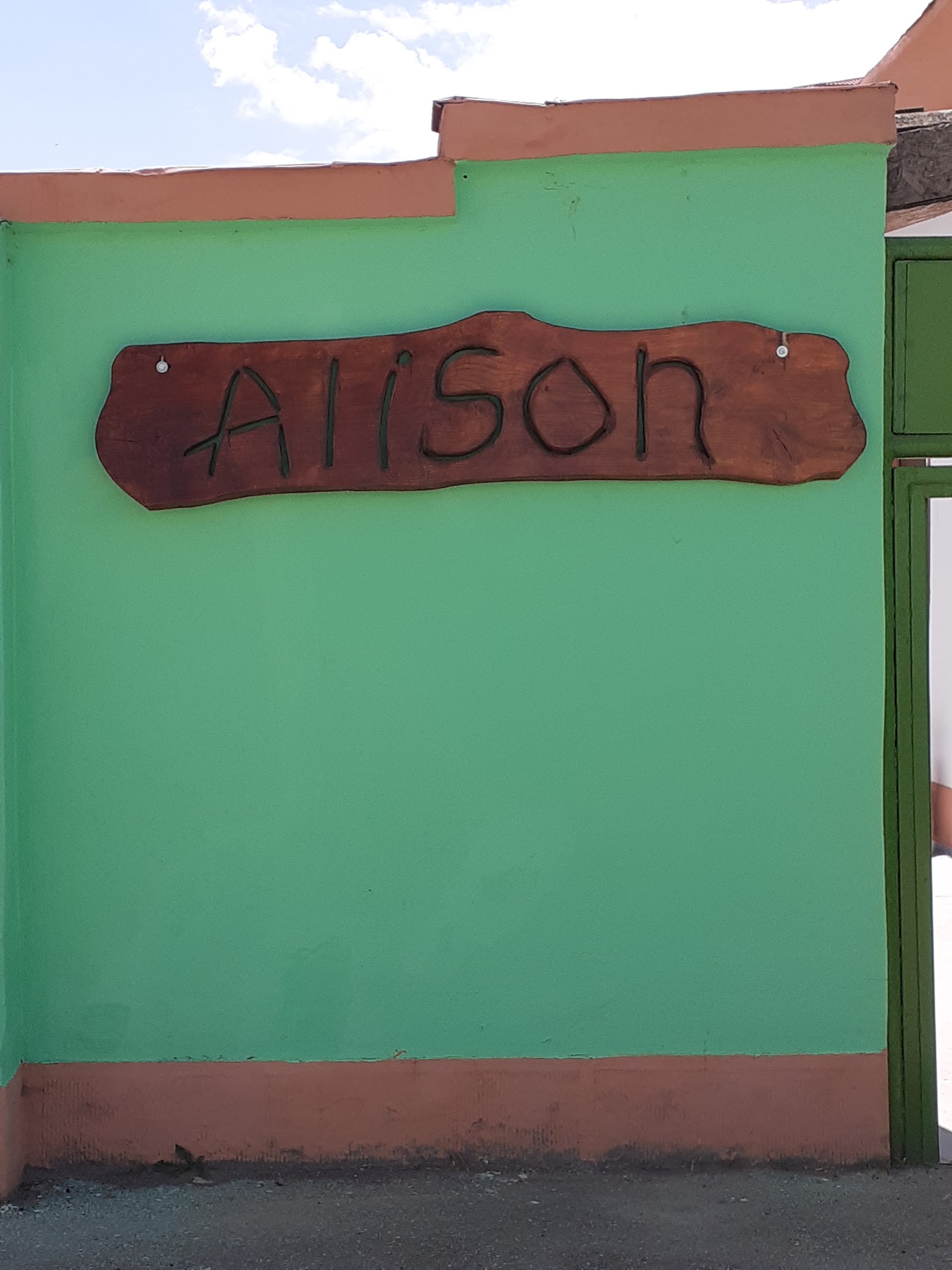 ALISON REAL FOOD