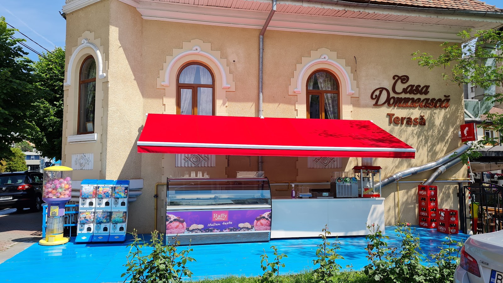 Casa Domnească