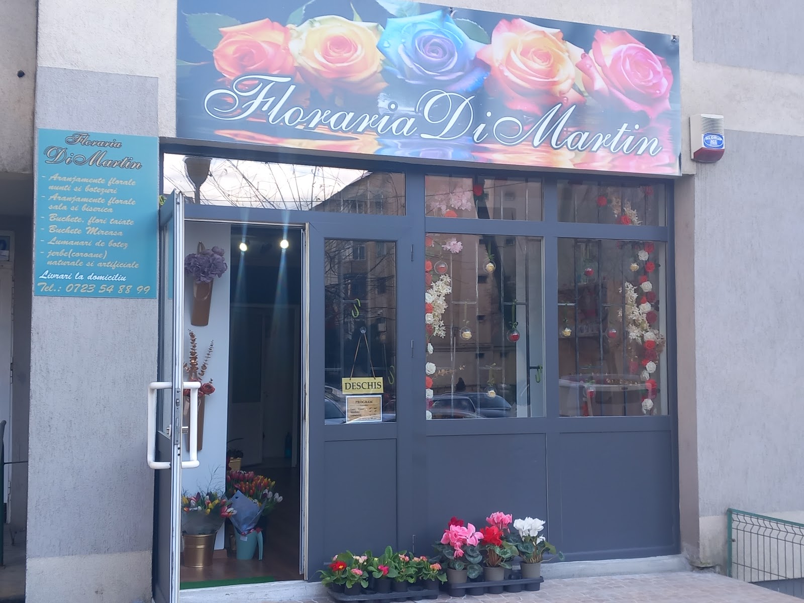 Floraria Di Martin