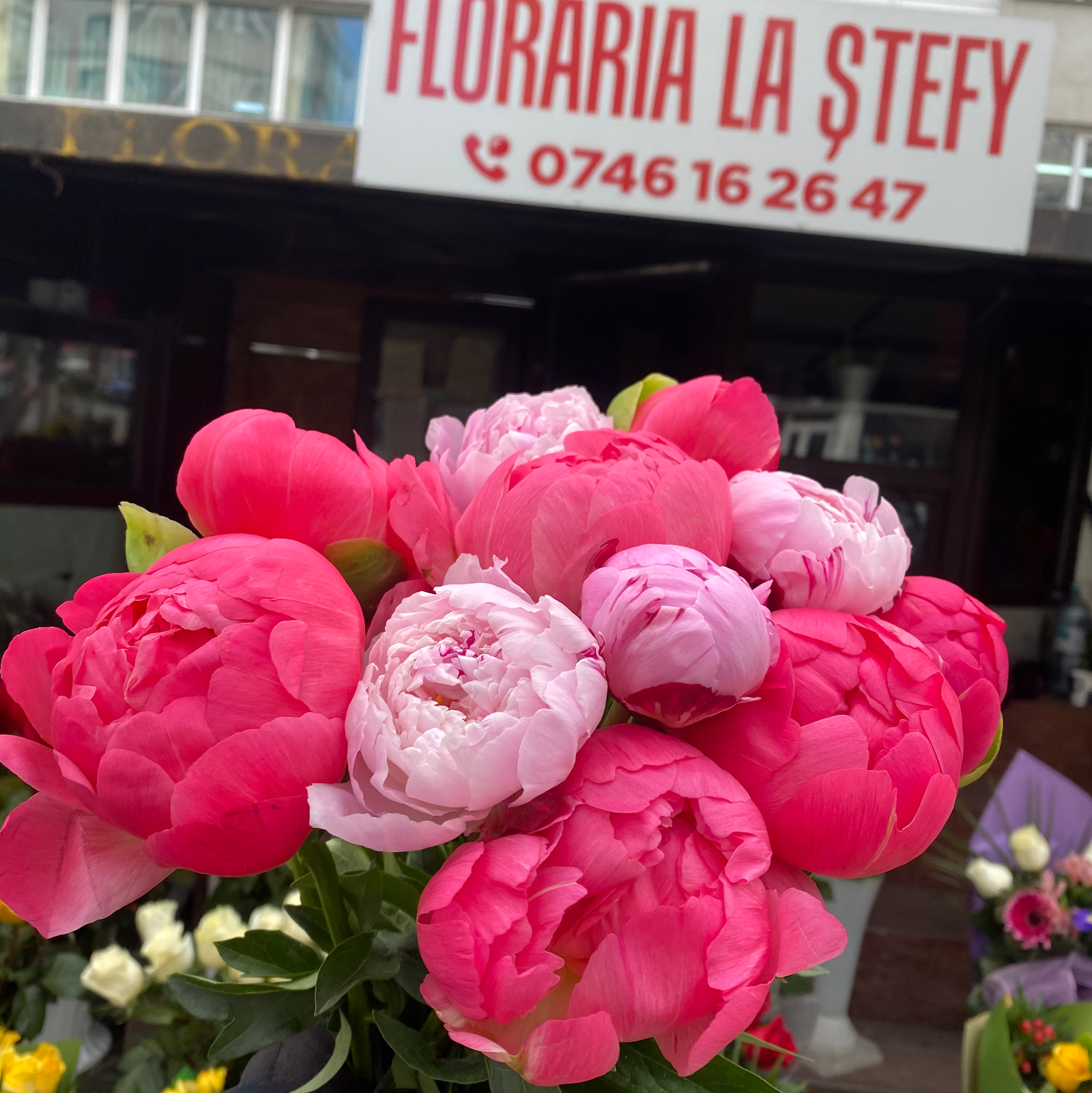 Florăria la Stefy srl