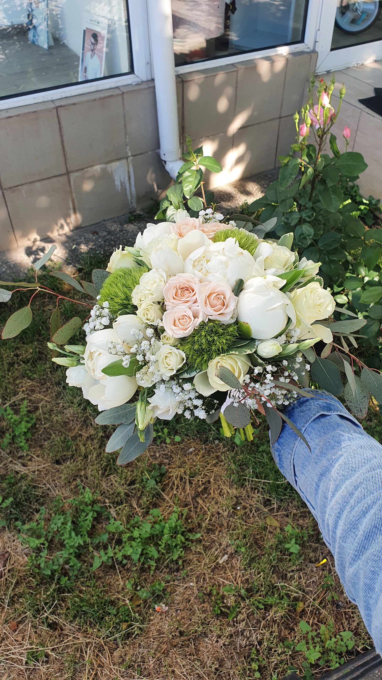 FLORARIA PRINCESS
