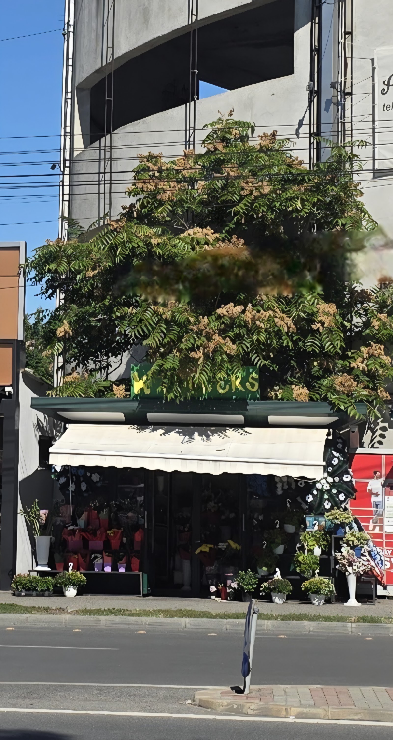 K’ Flowers