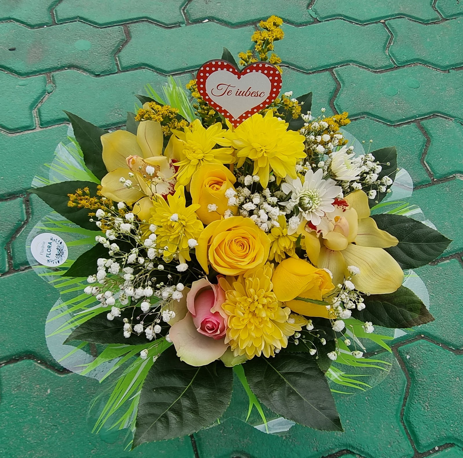 FLORARIA FLORA