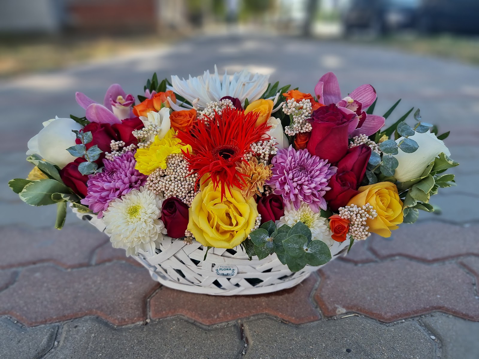 FLORARIA FLORA