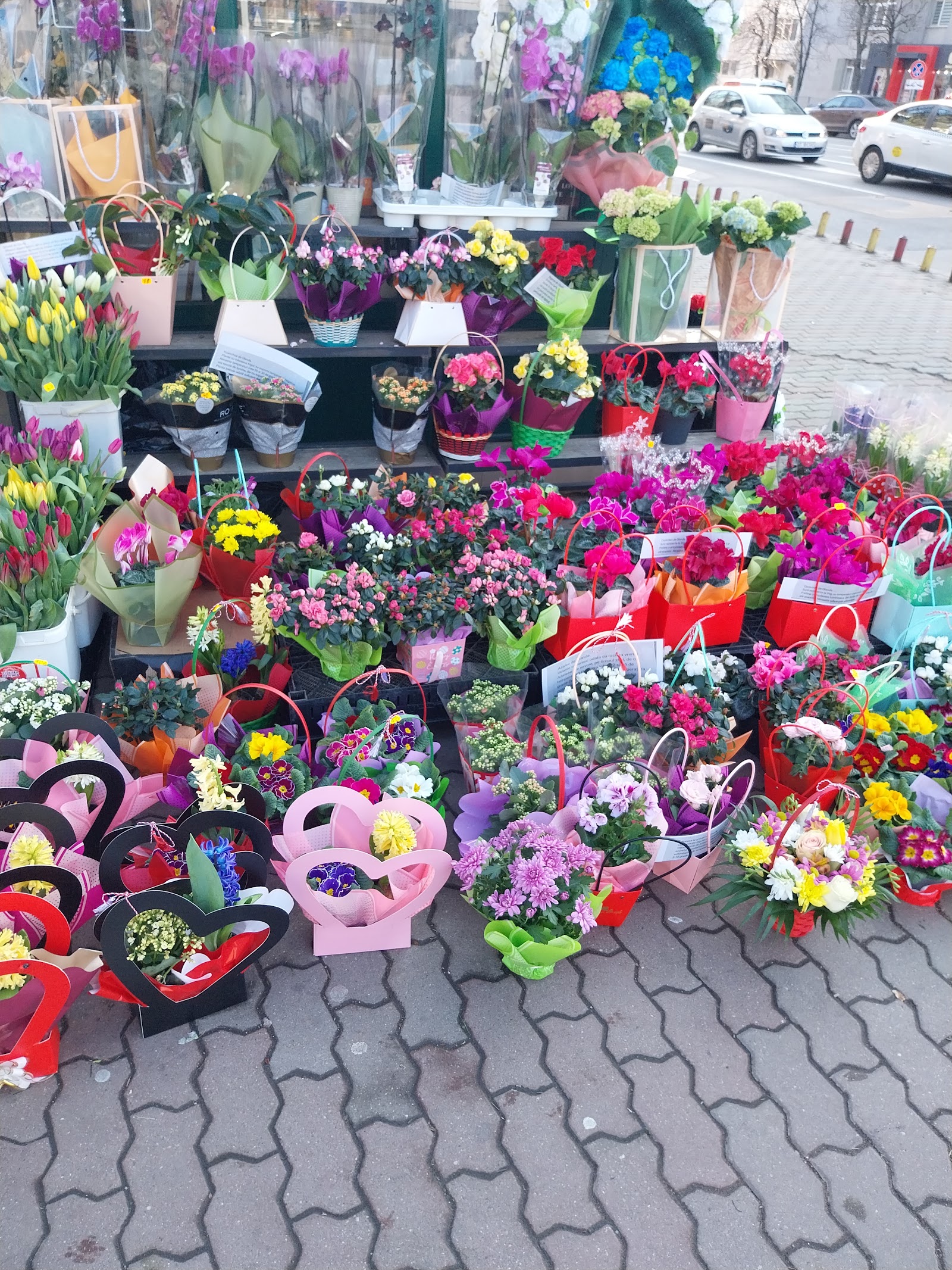 Florăria Curcubeul Florilor