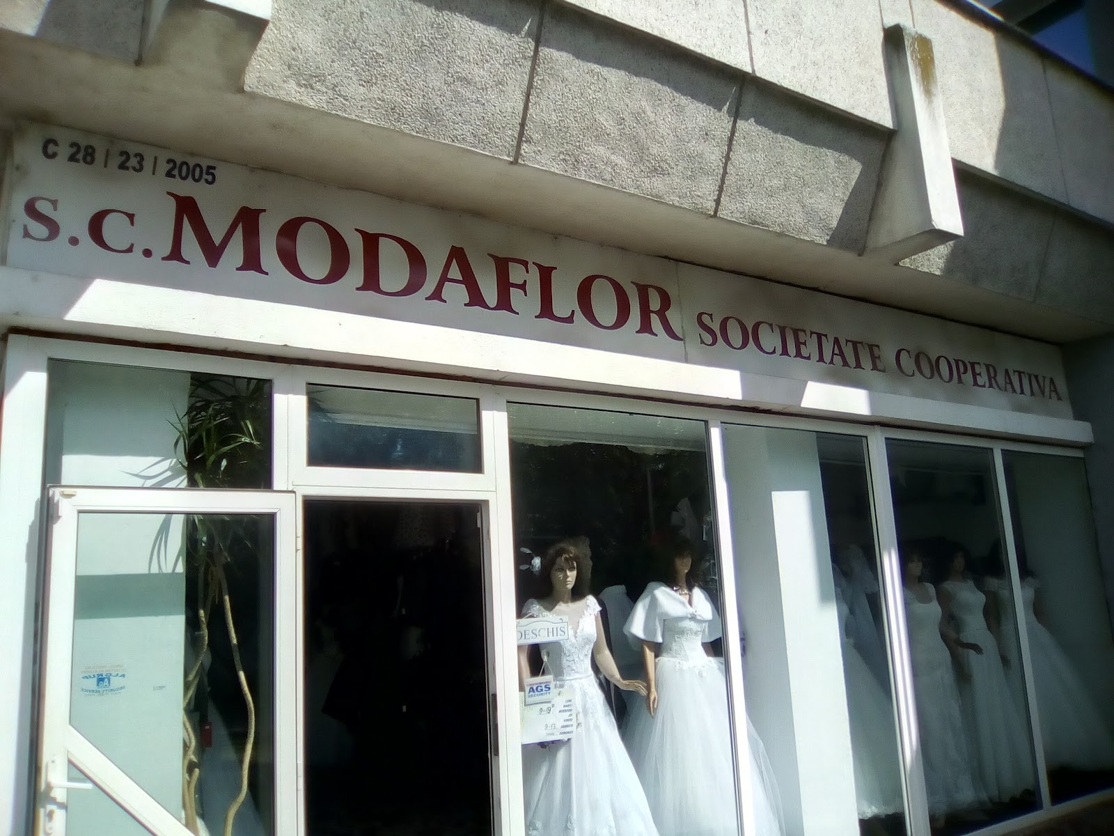 Modaflor