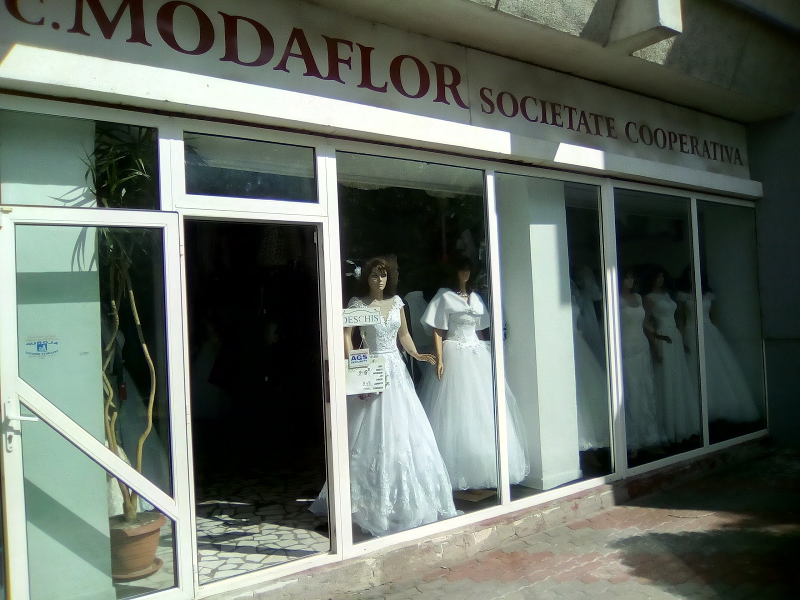 Modaflor