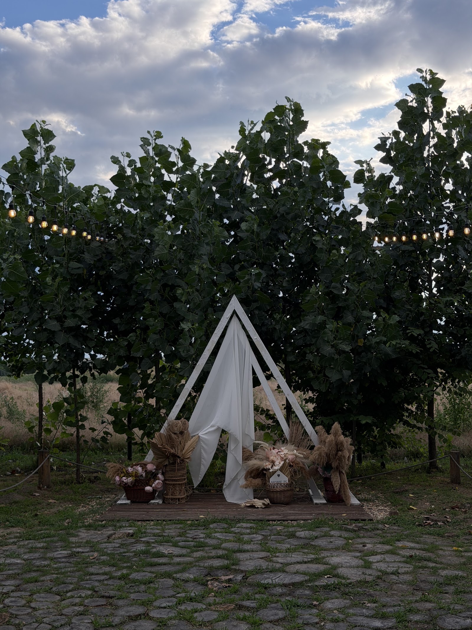 The Secret Garden