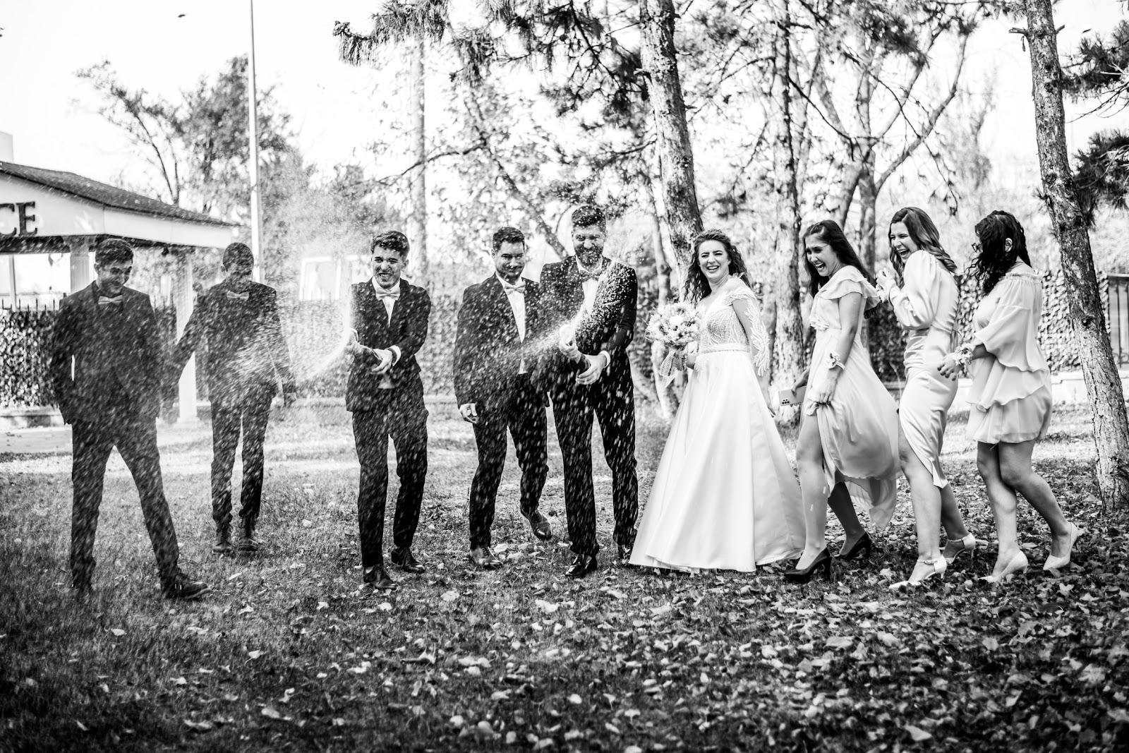Fotograf De Nunta Profesionist - Andronescu Ionut - Calarasi