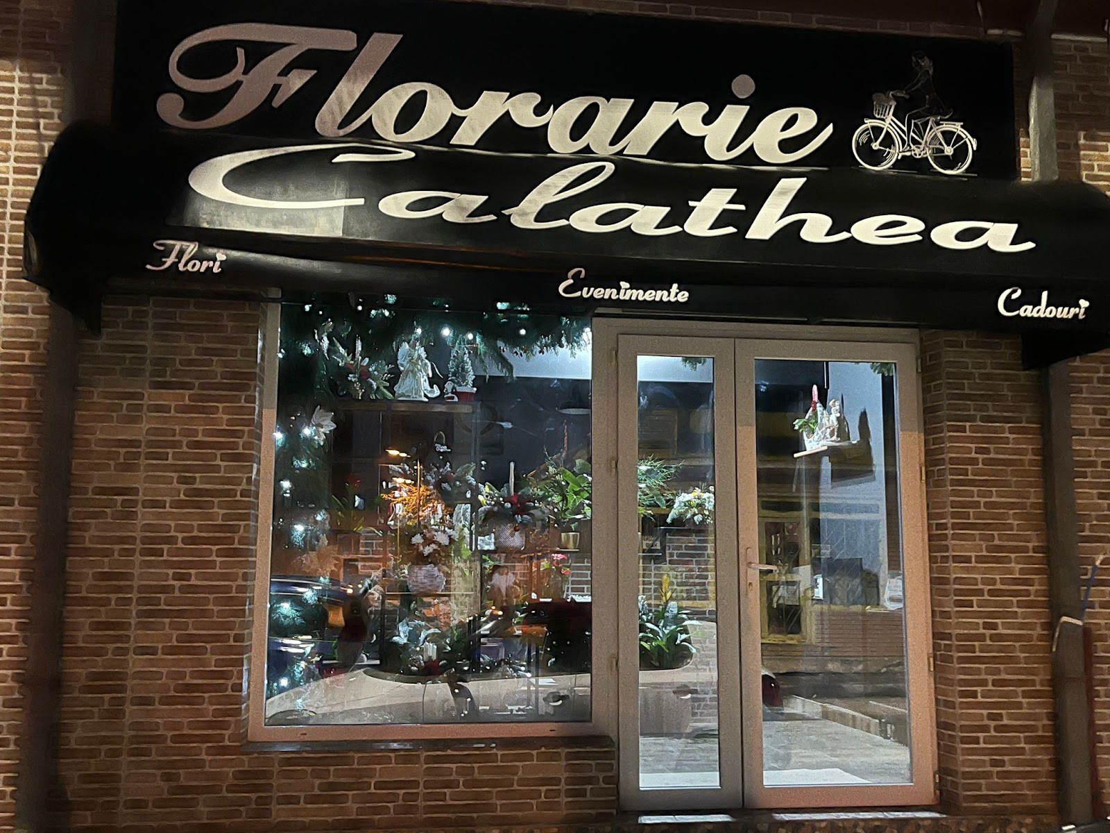 Florarie Calathea