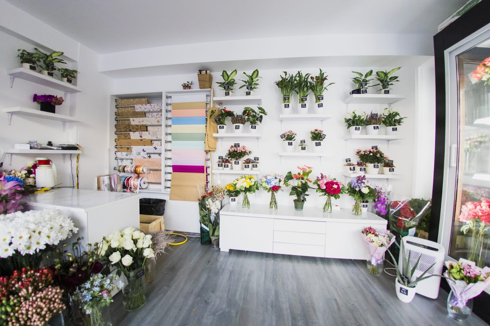 BLOSSOM BOUTIQUE