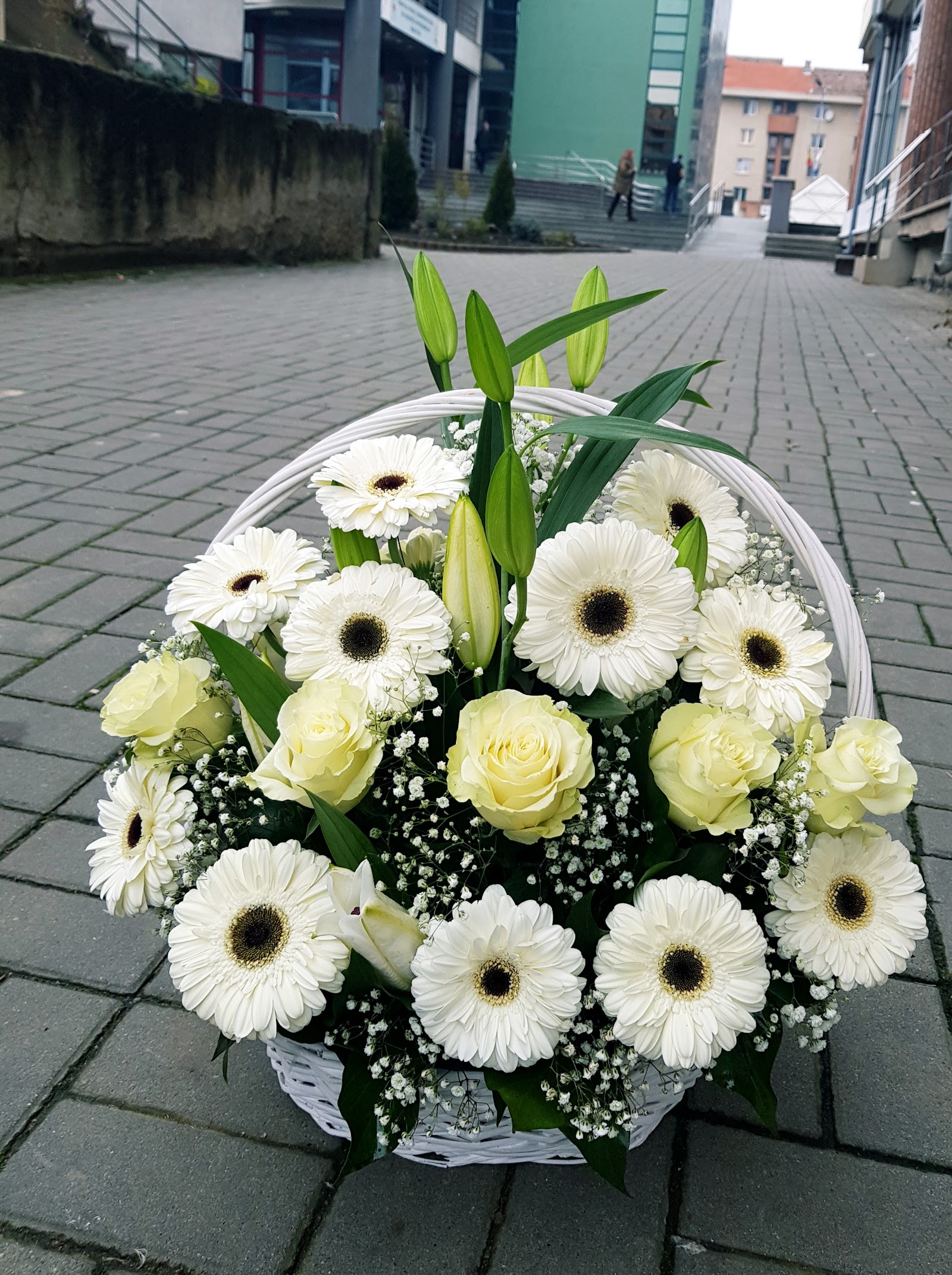 Floraria Casa Florilor - Alba Iulia