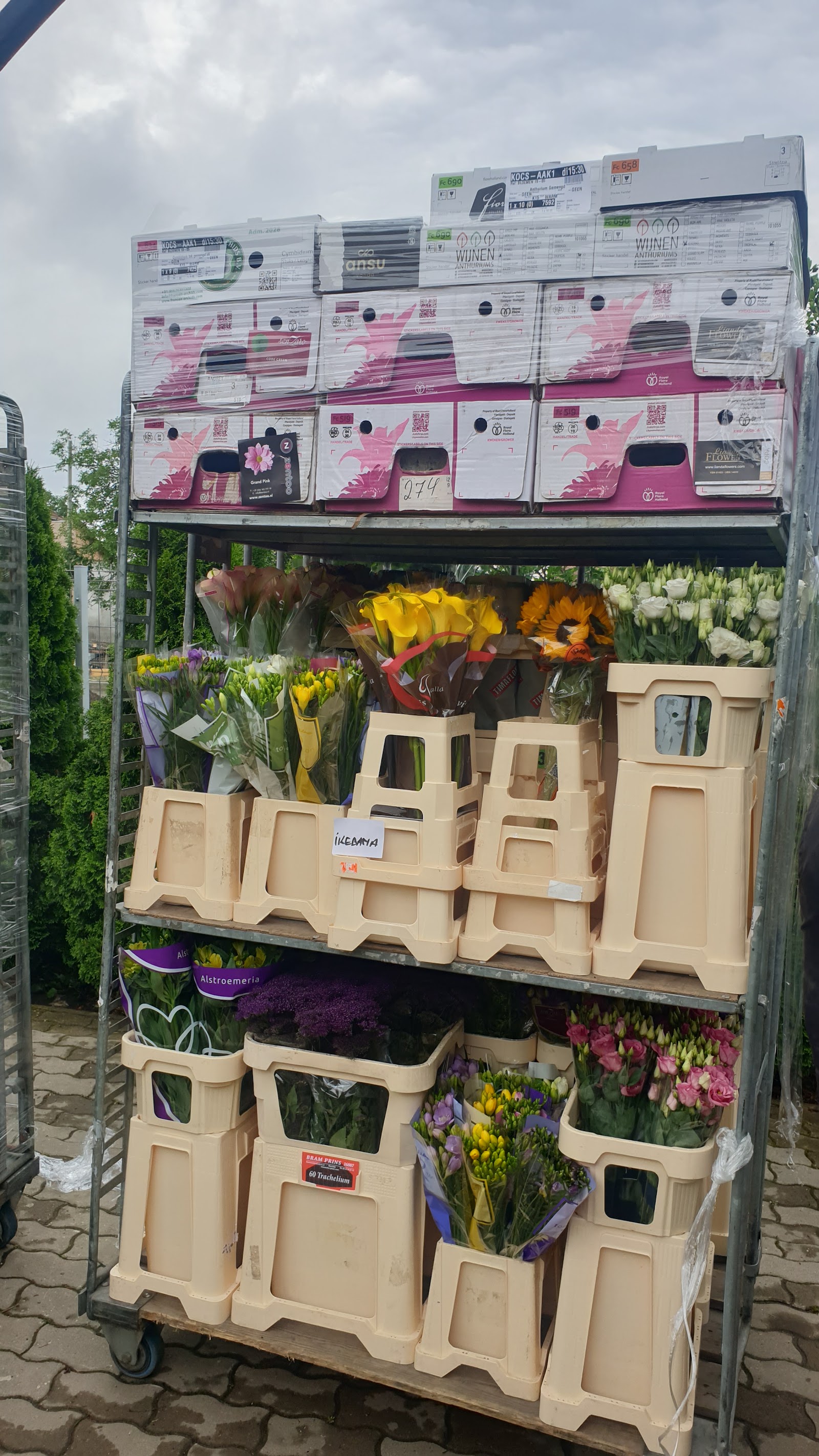 Florăria Ichebana
