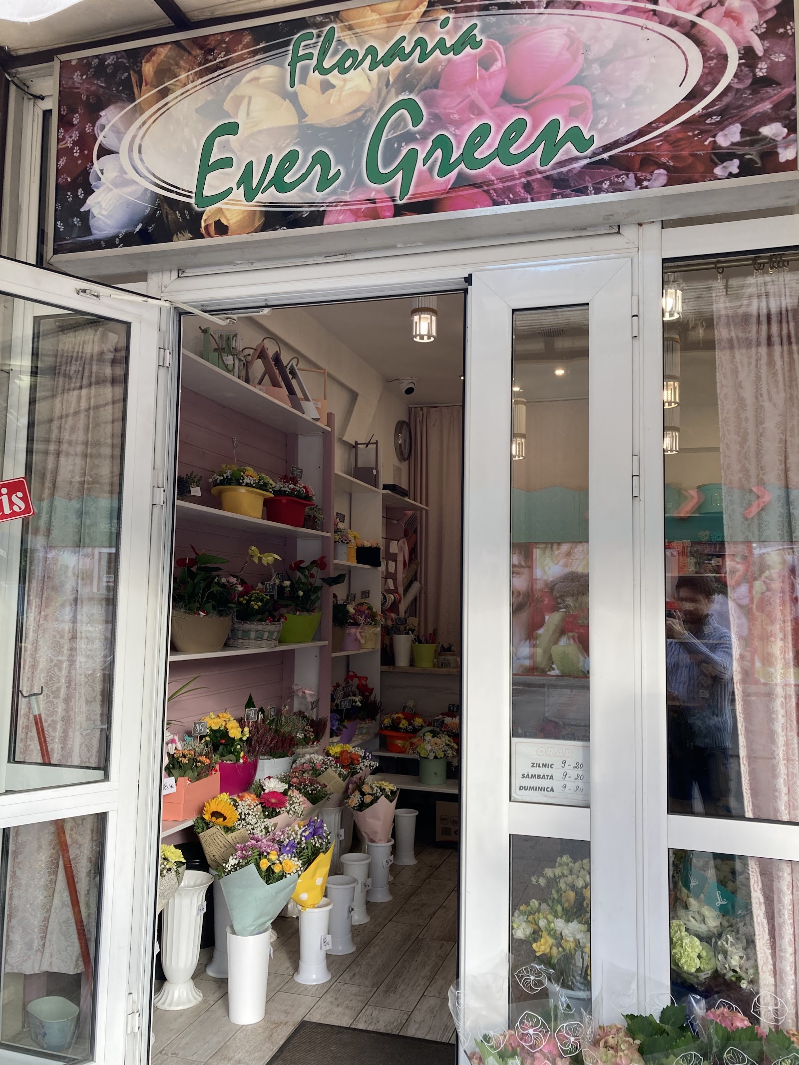 Floraria Ever Green