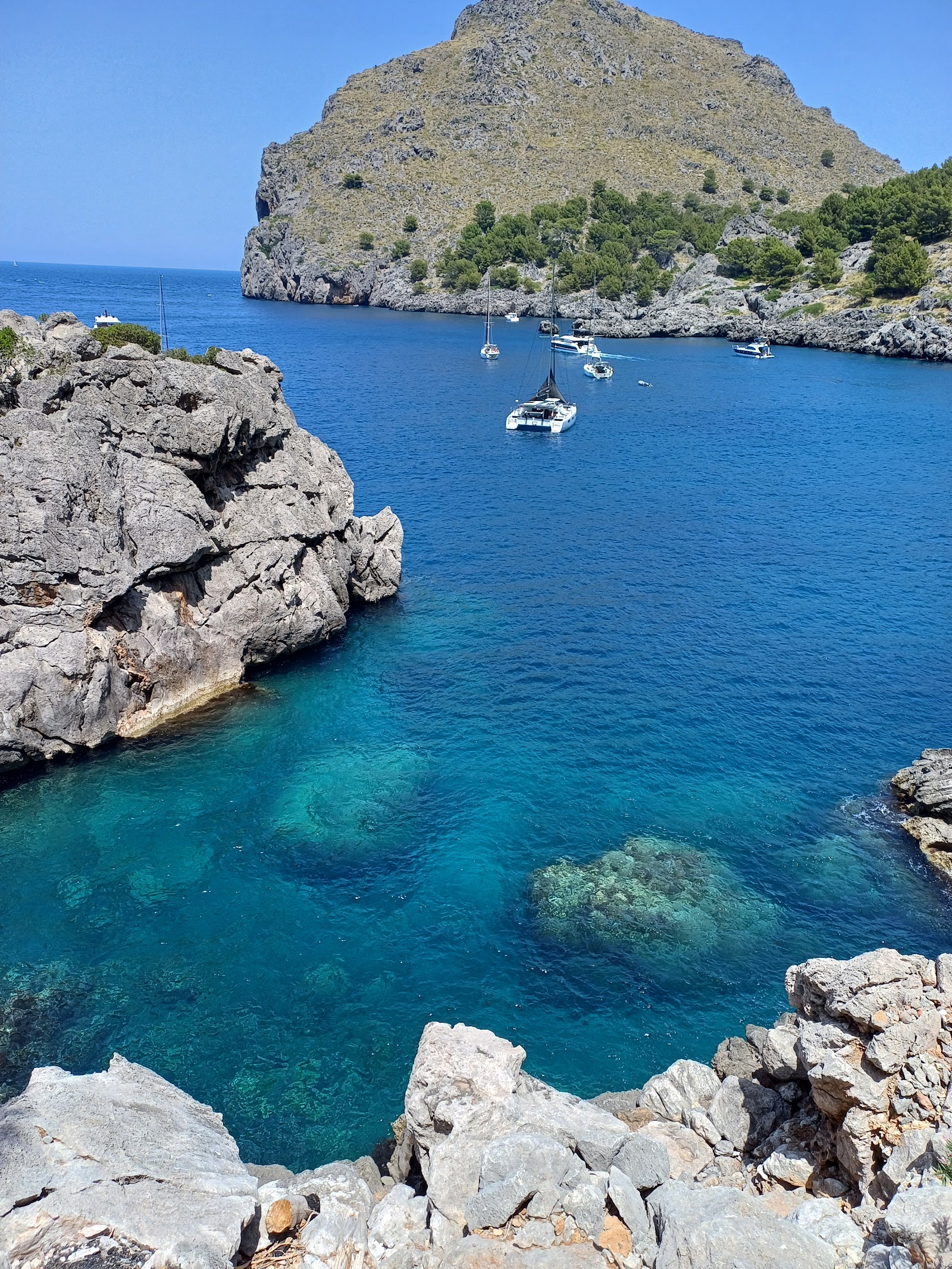Gemina Travel