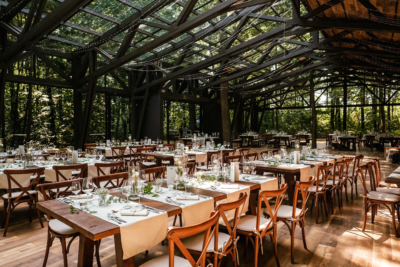 TreeHouse Cosoba