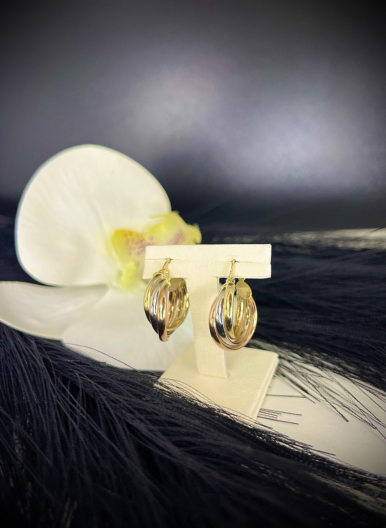 Anisia Gold