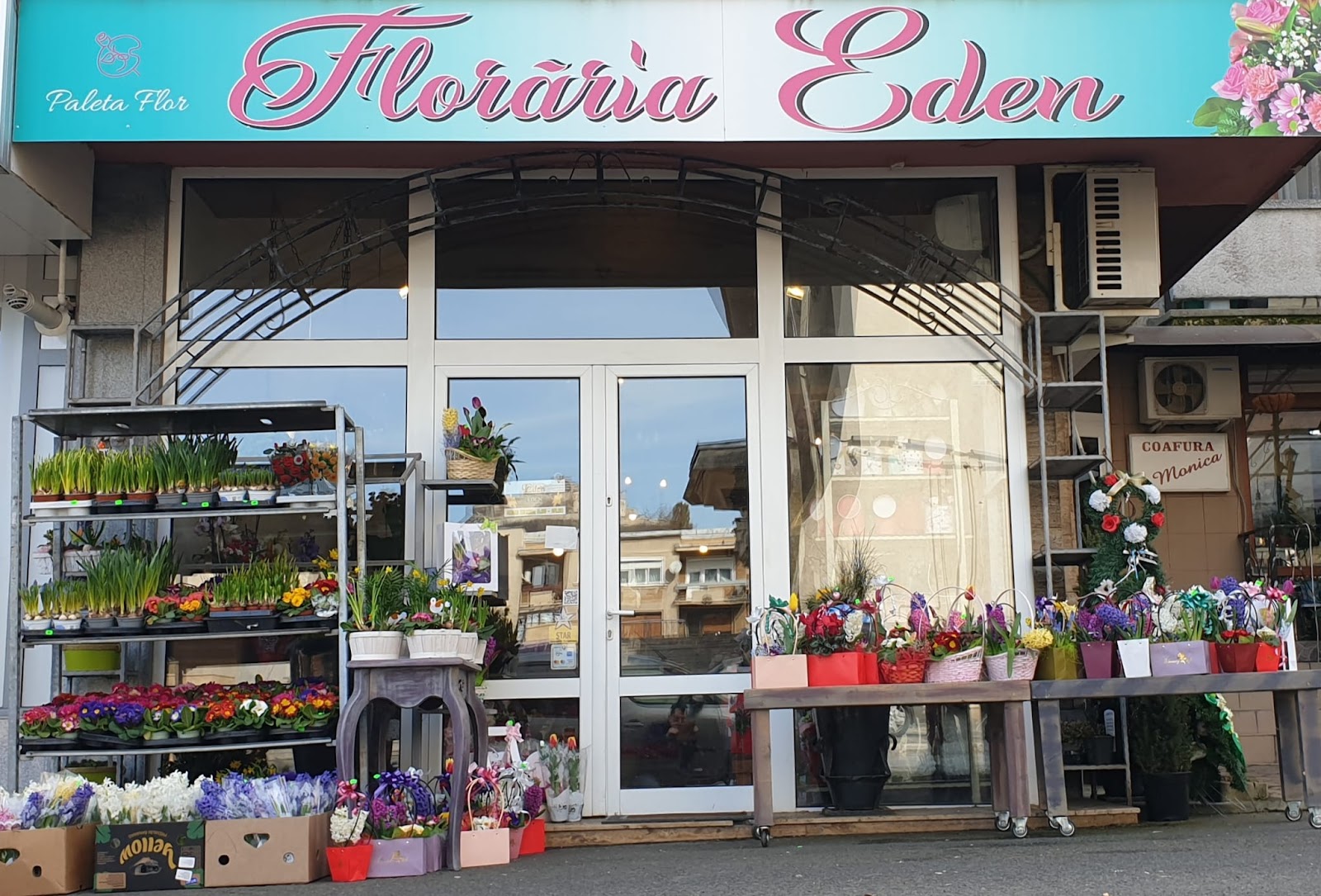 FLORARIA EDEN DEVA