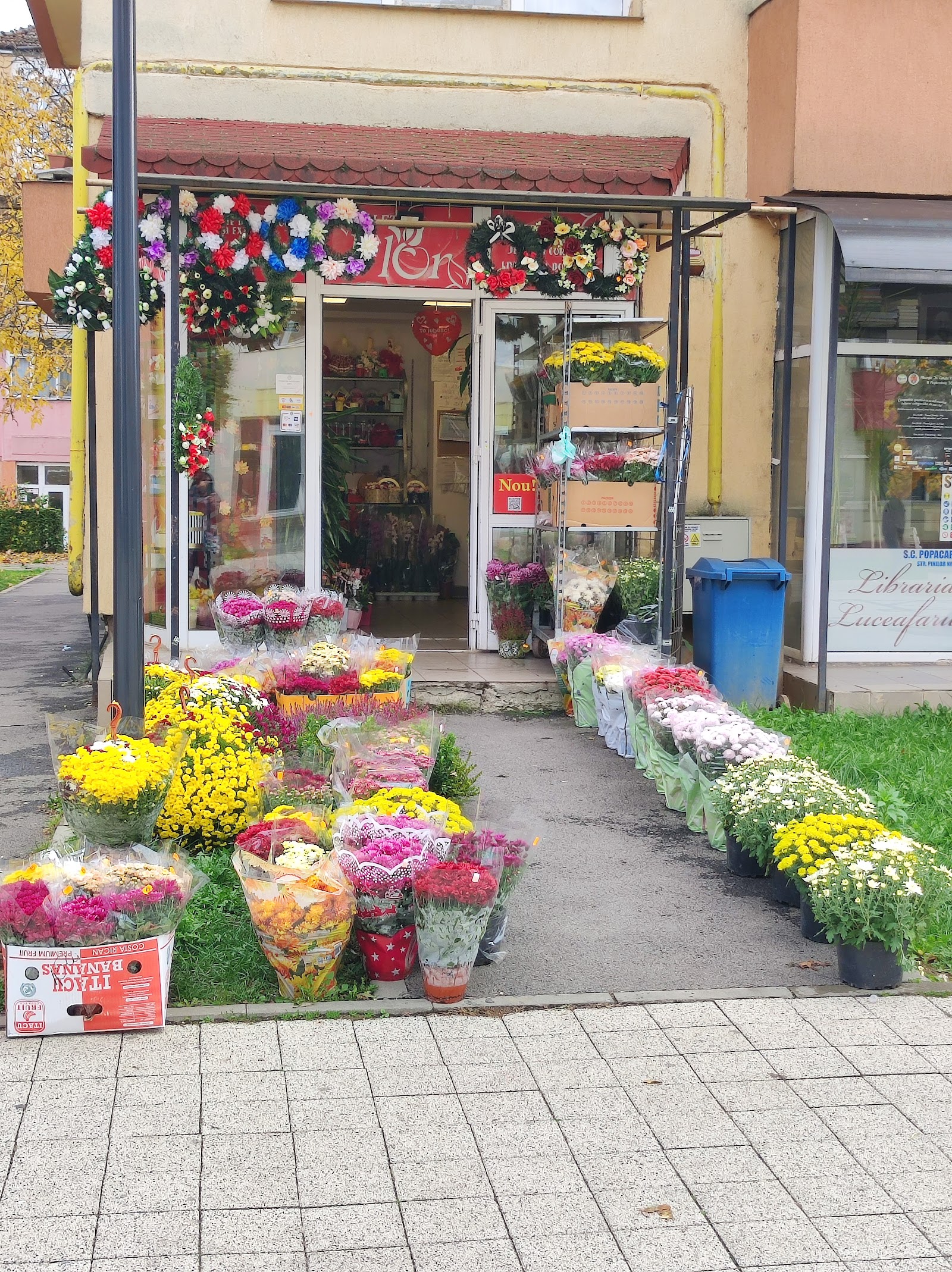 Paleta Flor