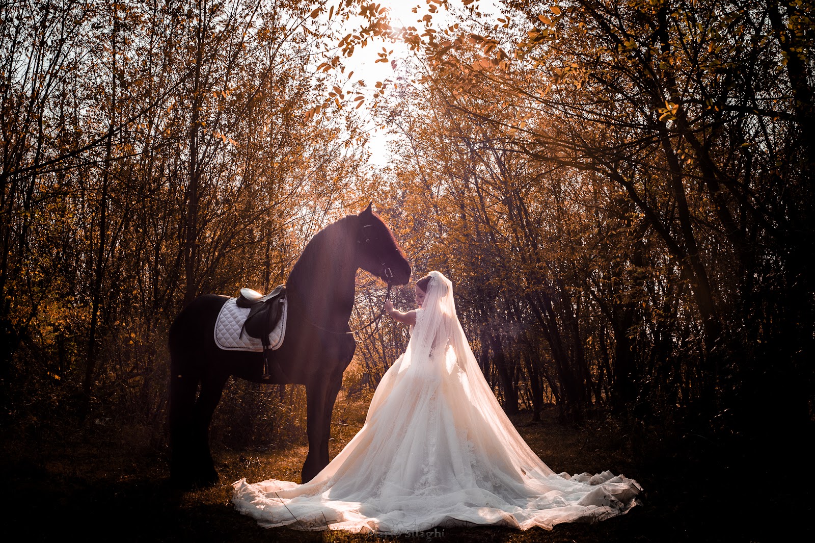 Mario Silaghi - Wedding Photographer