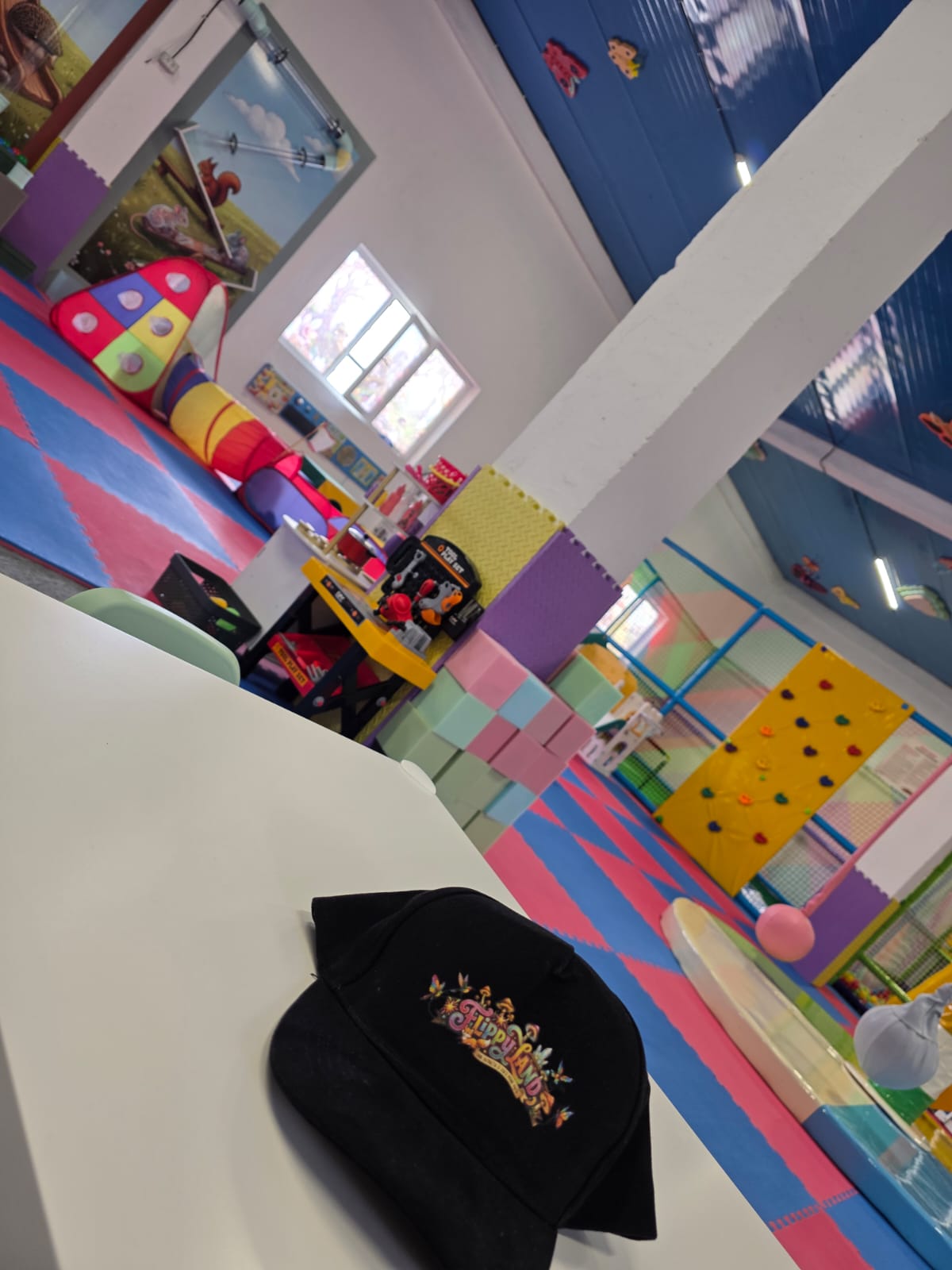 FlippyLand