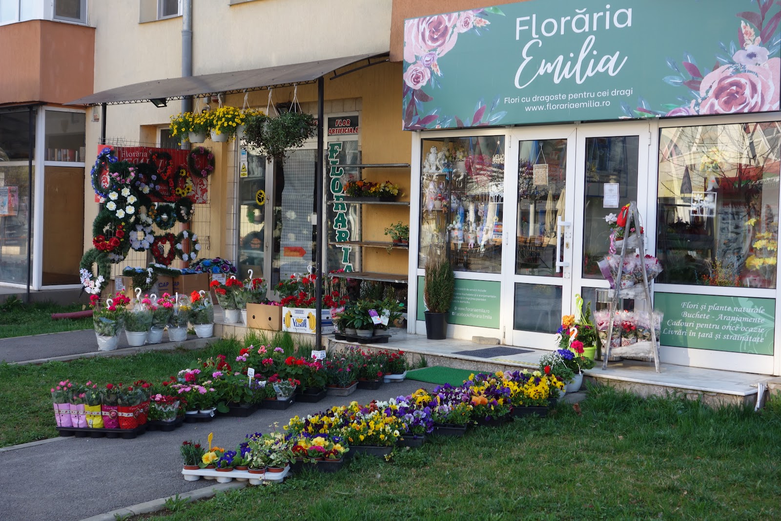 Floraria Emilia