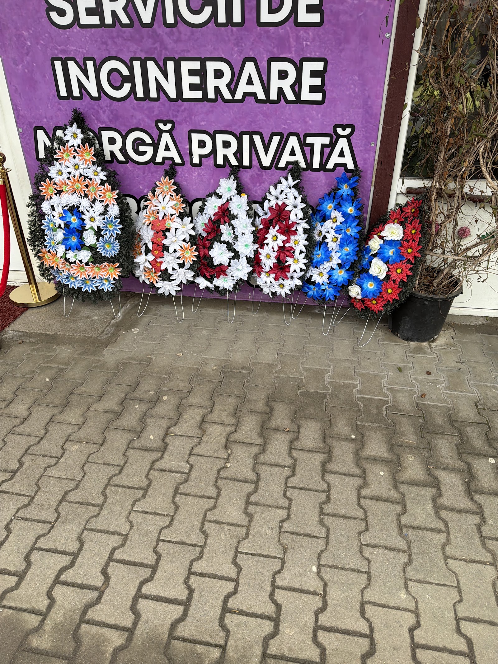 Floraria Sunshine Florist