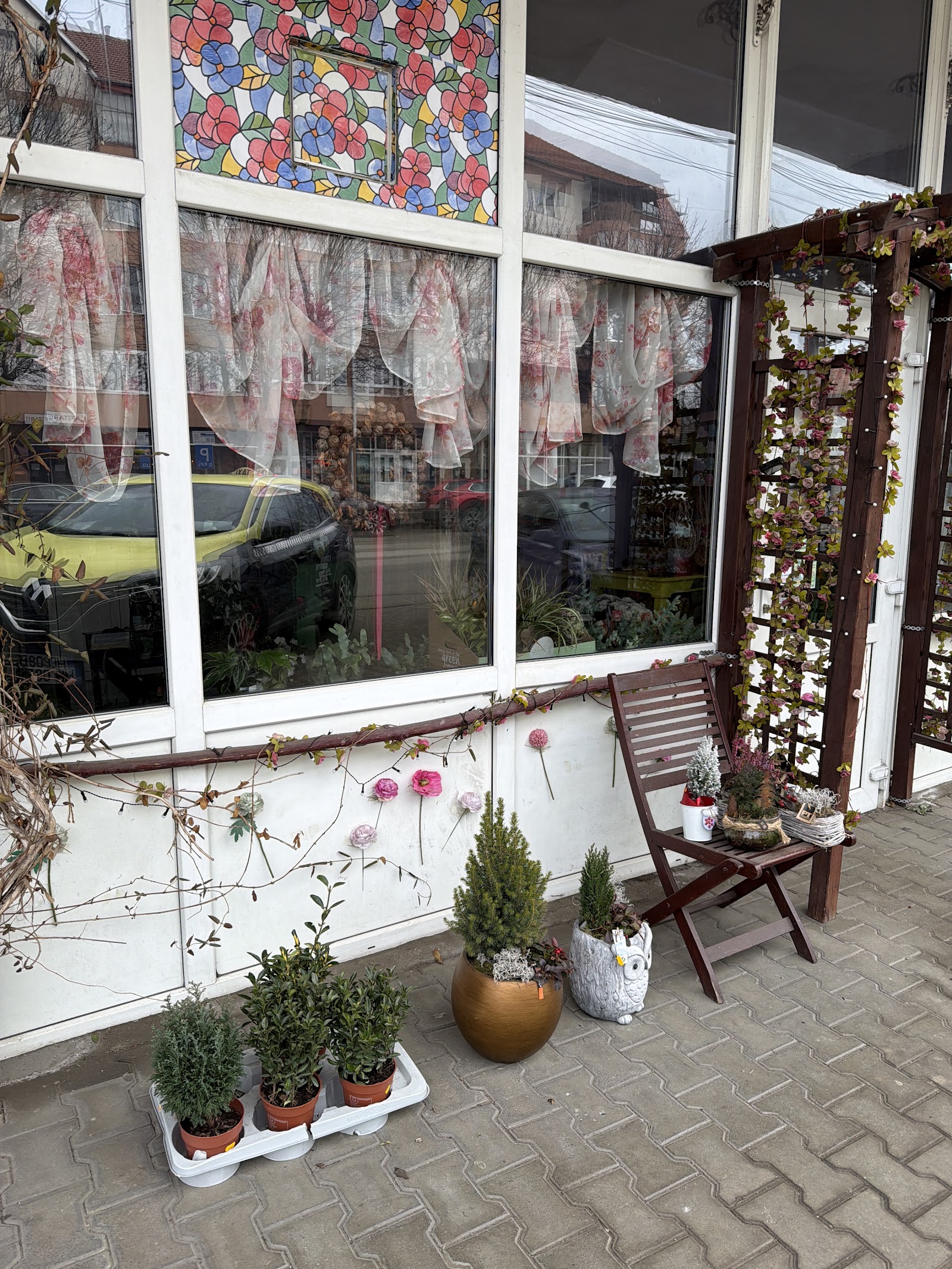 Floraria Sunshine Florist