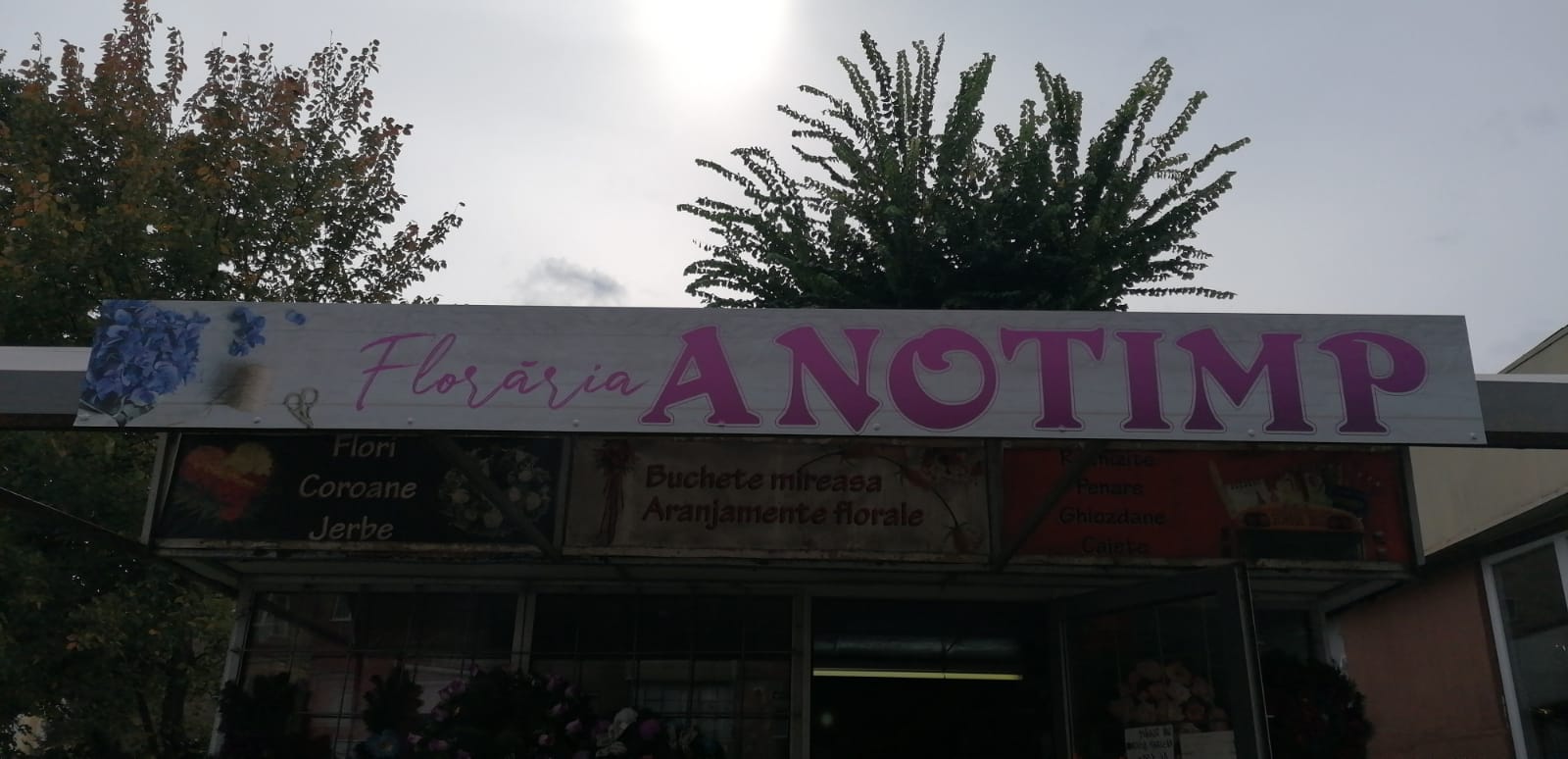 Floraria Anotimp