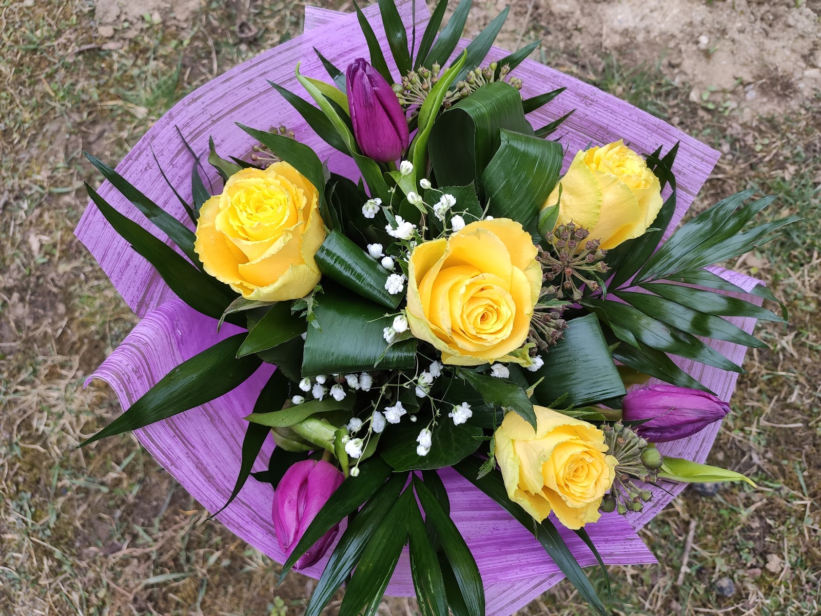 Floraria Anotimp