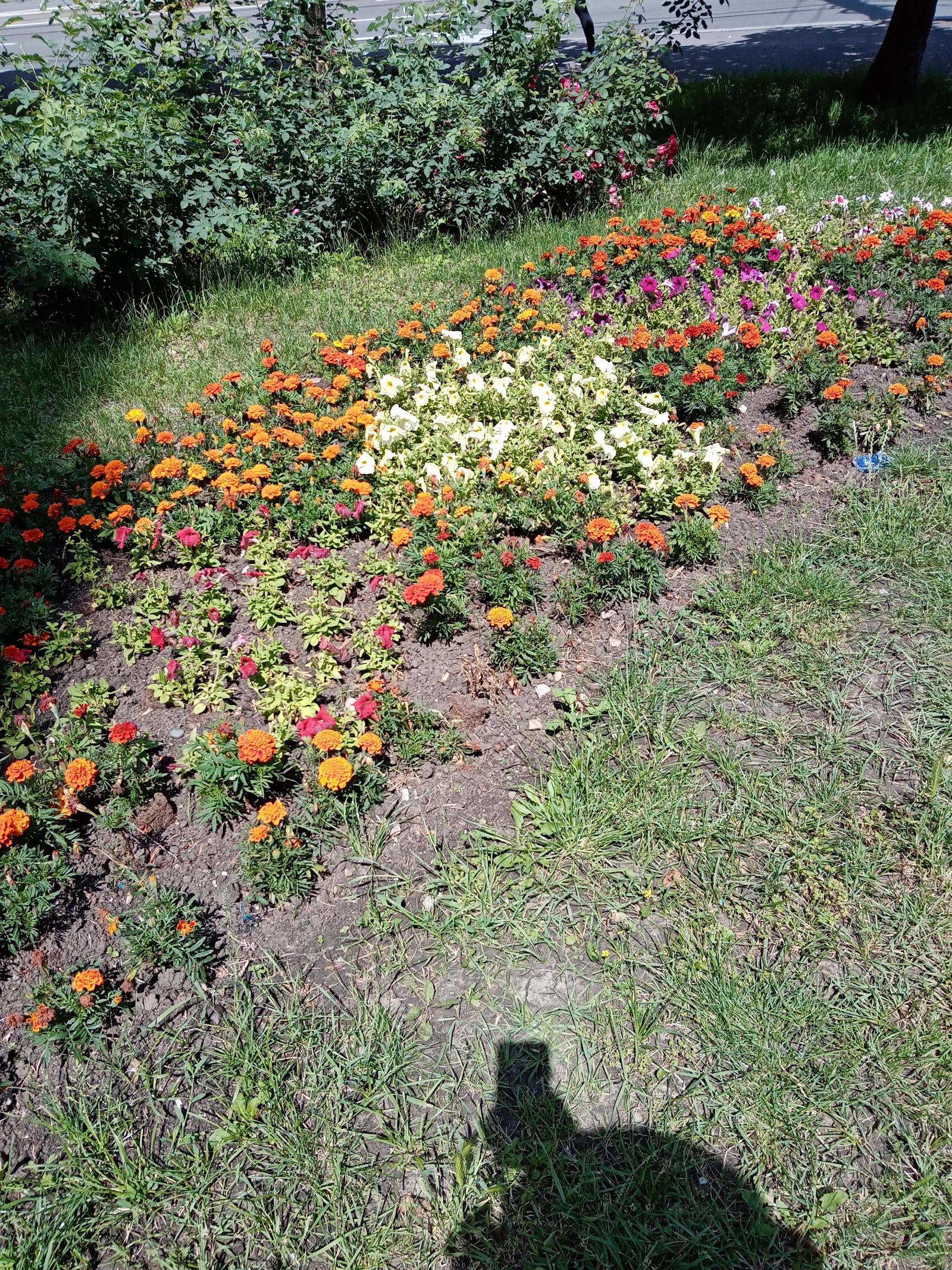 Burn Emotions by Tiberiu’s Photography