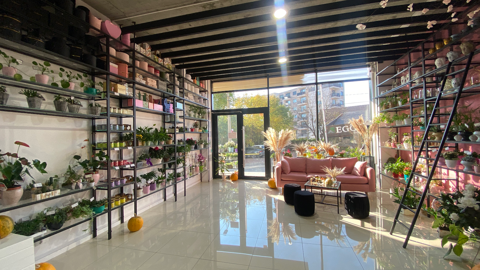 Floraria fLOVErs Events