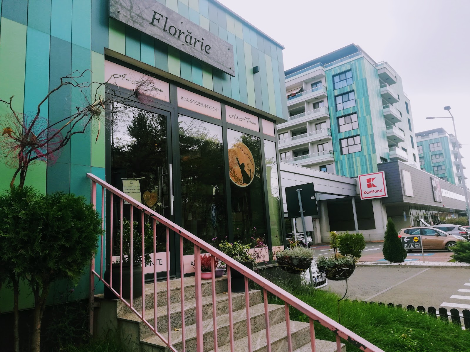 ANDRA - a floral story | Florarie Cluj-Napoca