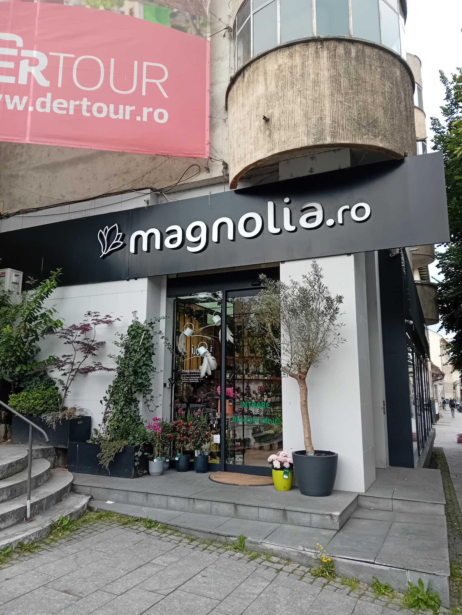 Florăria Magnolia Cluj-Napoca, Piața Ștefan cel Mare