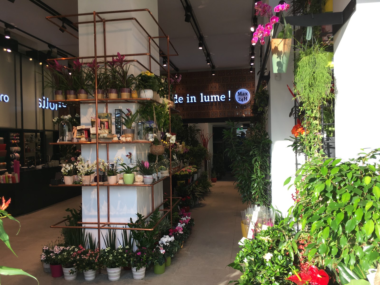 Florăria Magnolia Cluj-Napoca, Piața Ștefan cel Mare