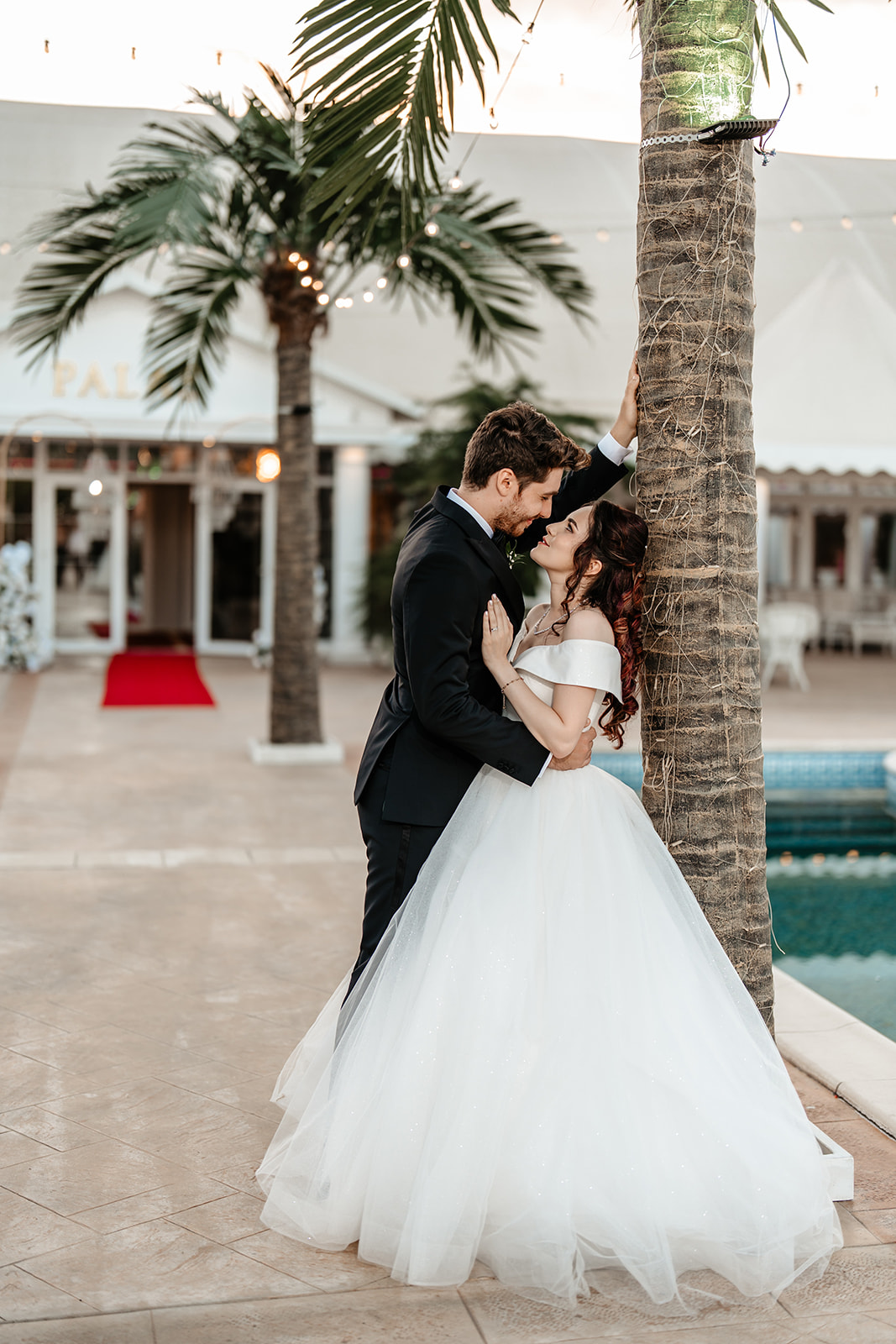 Ballroom Andra Tecuci