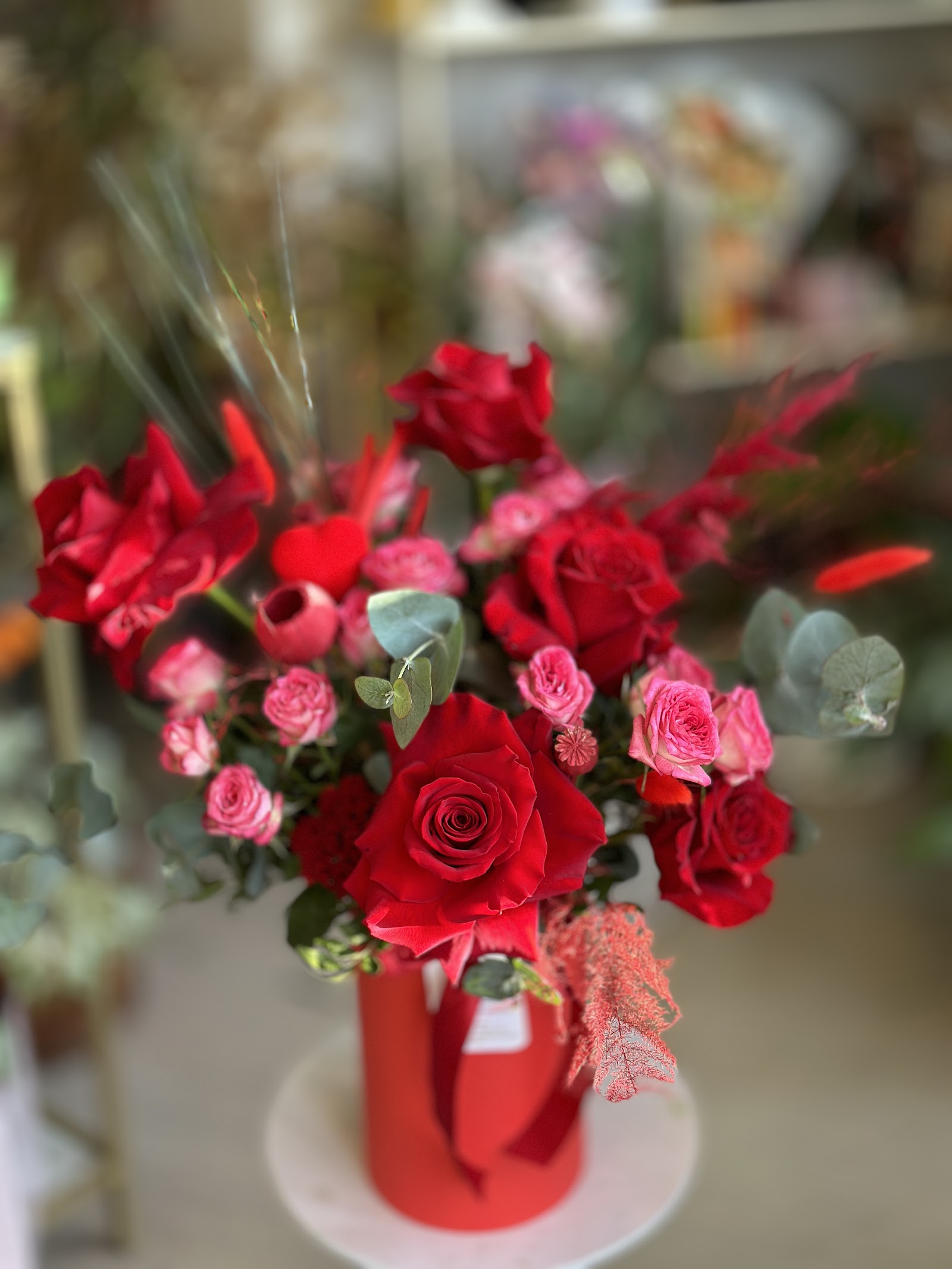 Beauty of Flowers