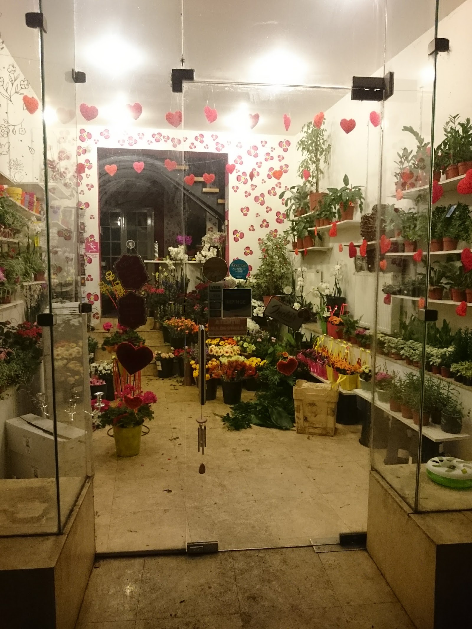 Florăria Dorothy's
