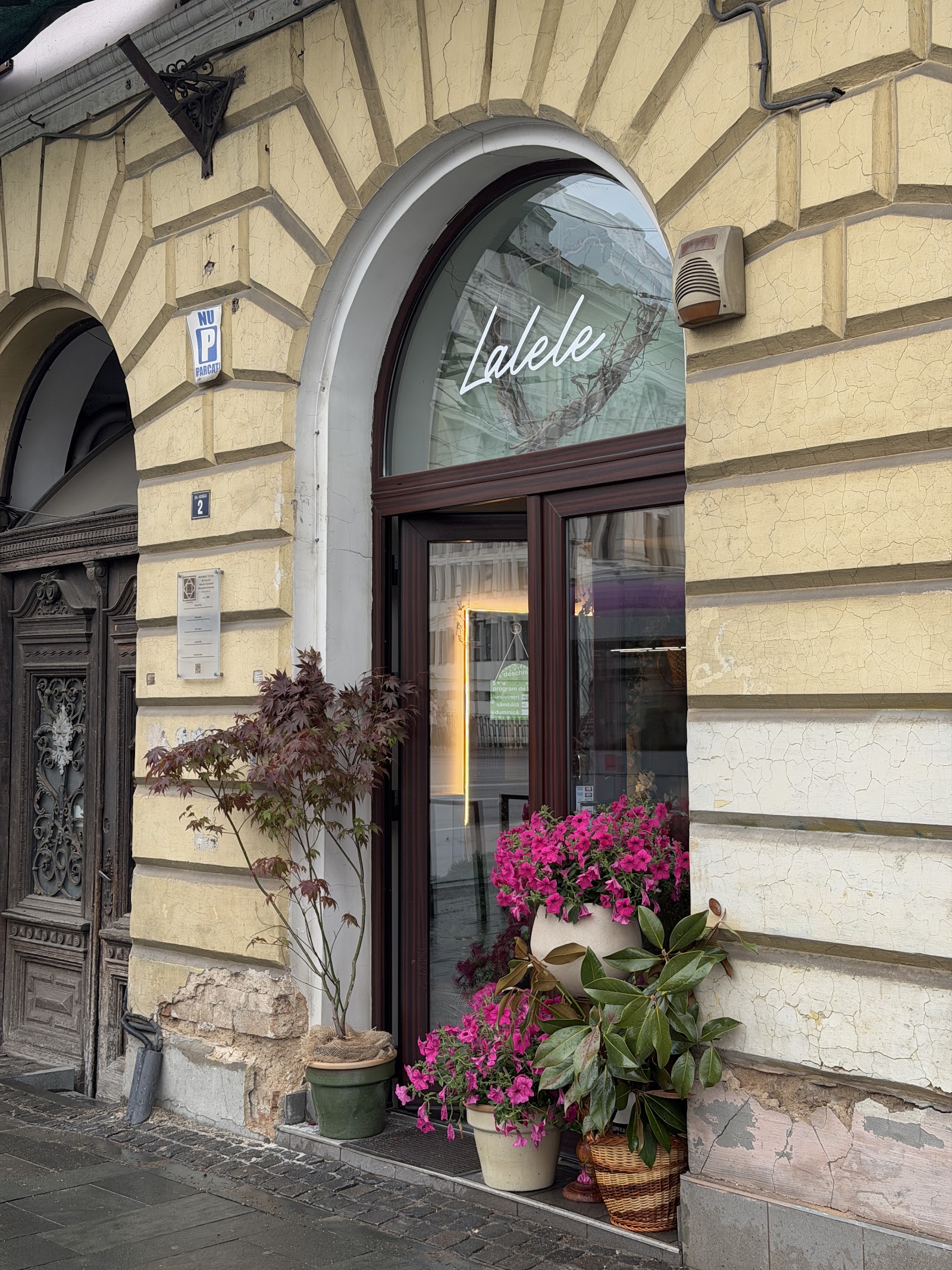 LALELE Atelier Floral