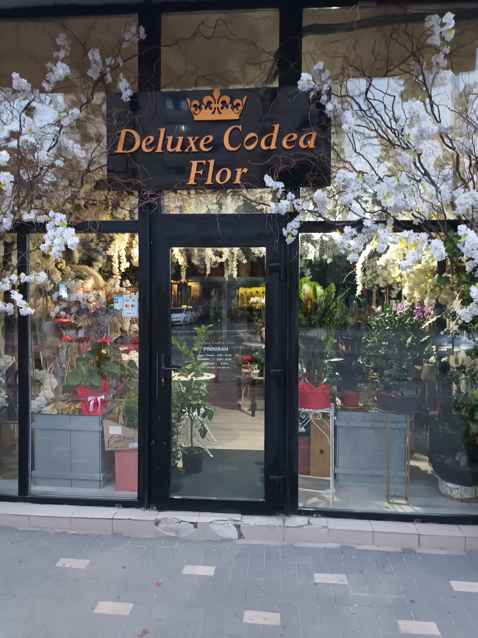 Filadelfia Turism Zalau
