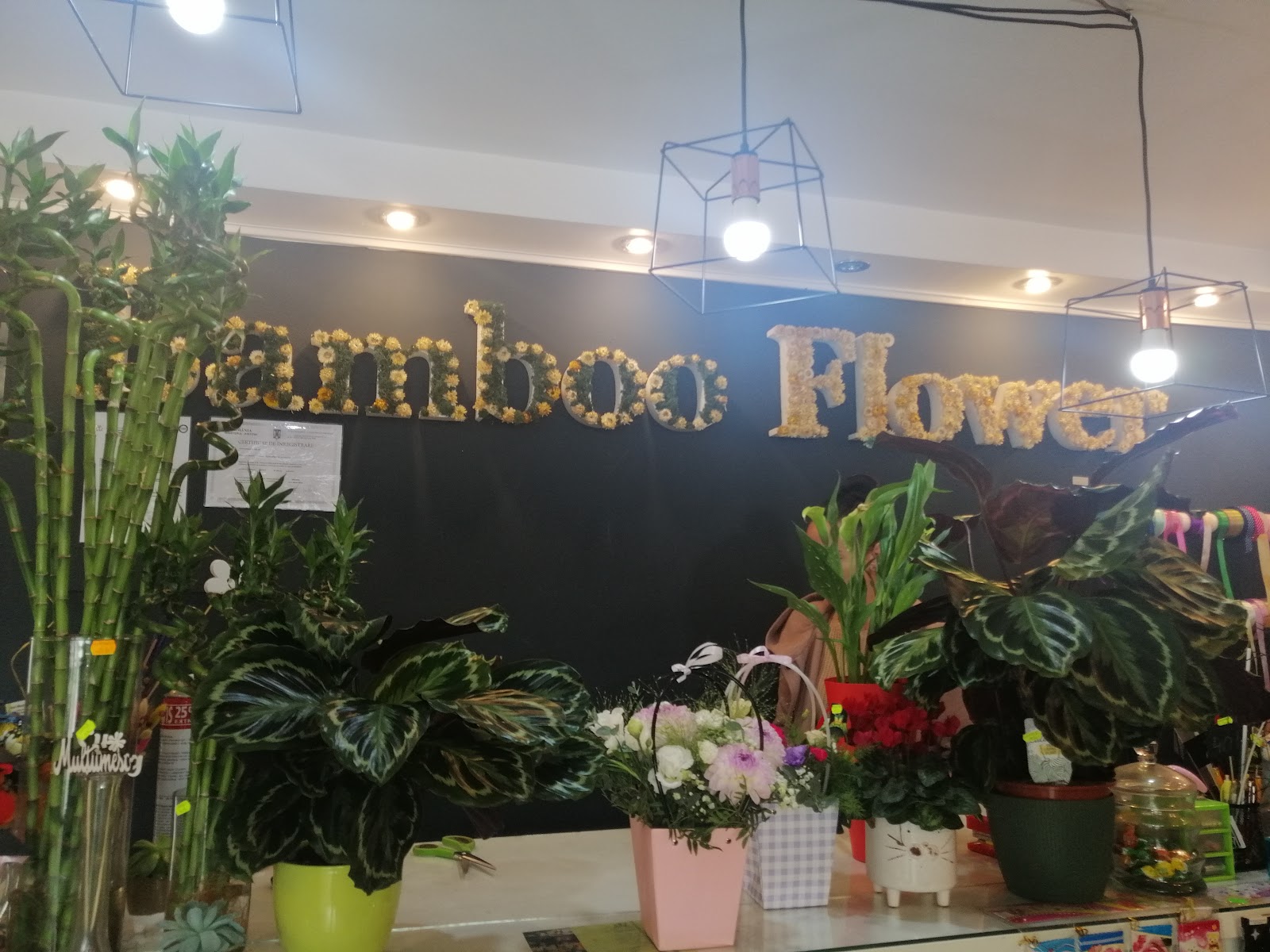 Bamboo Flower