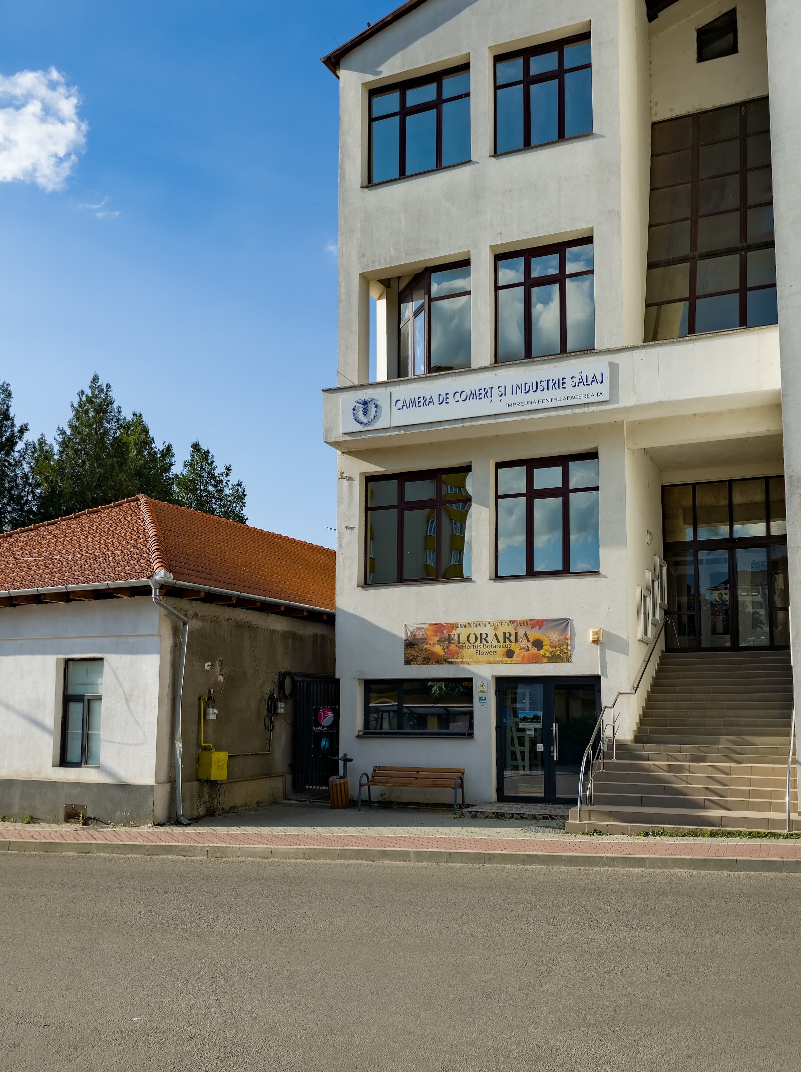 BAILArte Zalau