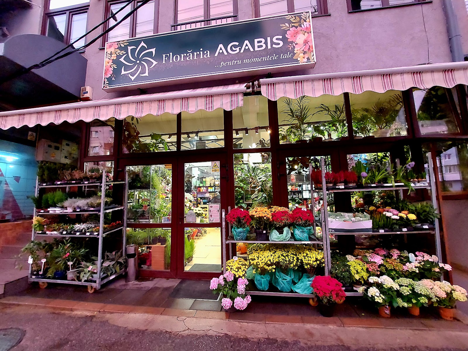 Agabis Flower Shop