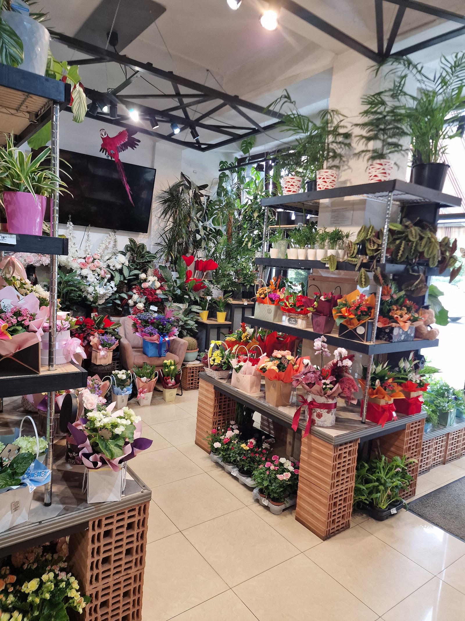 Agabis Flower Shop