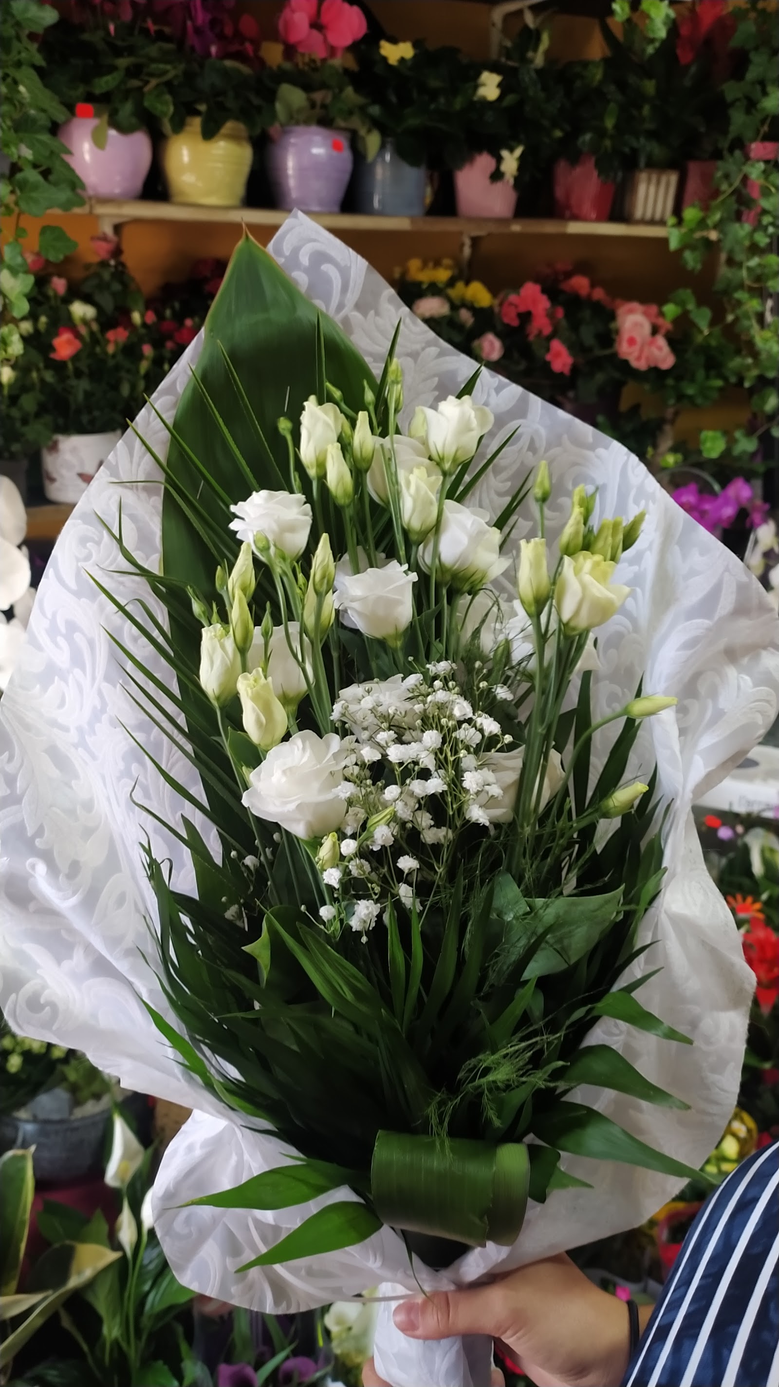 Florăria Zelike