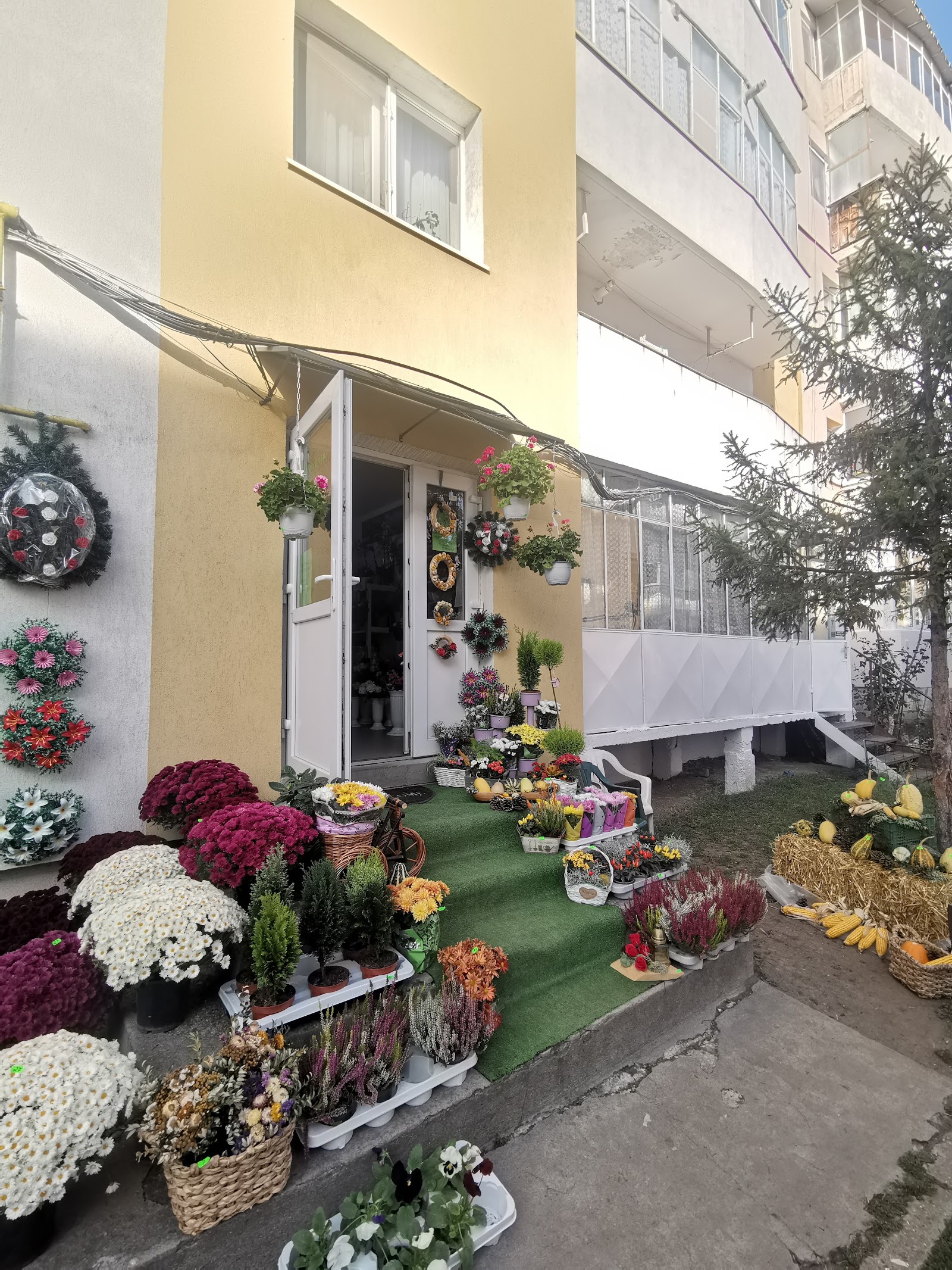 Floraria Flamingó viragüzlet