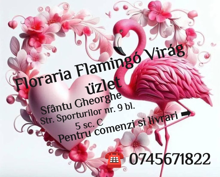 Floraria Flamingó viragüzlet