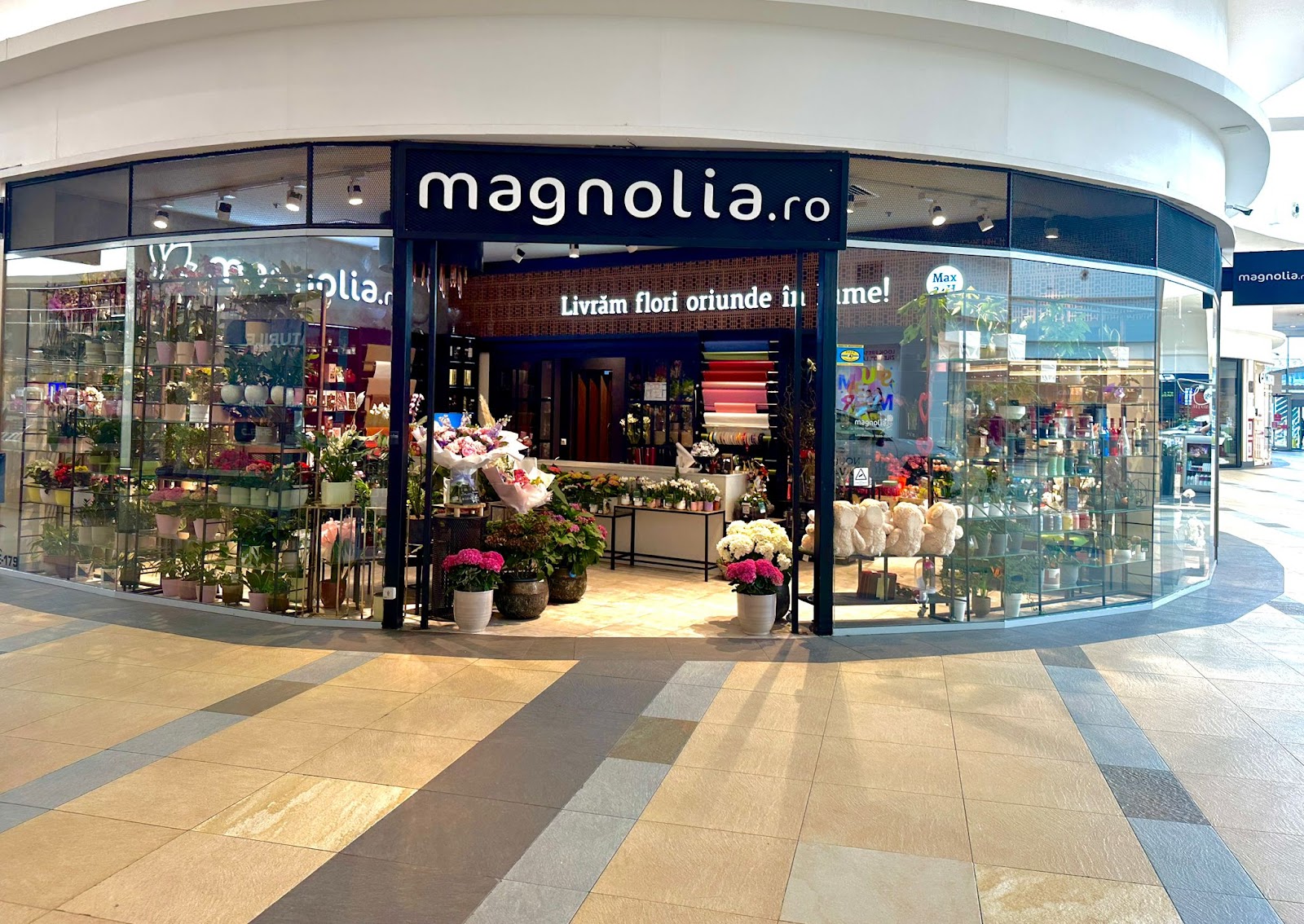 Magnolia