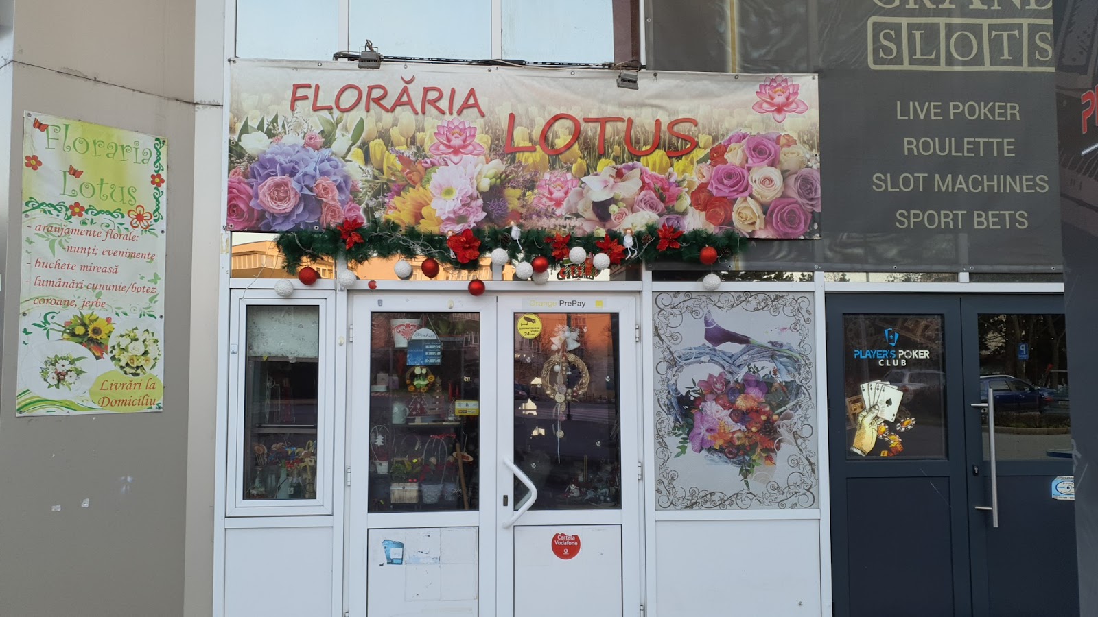 Florăria Lotus